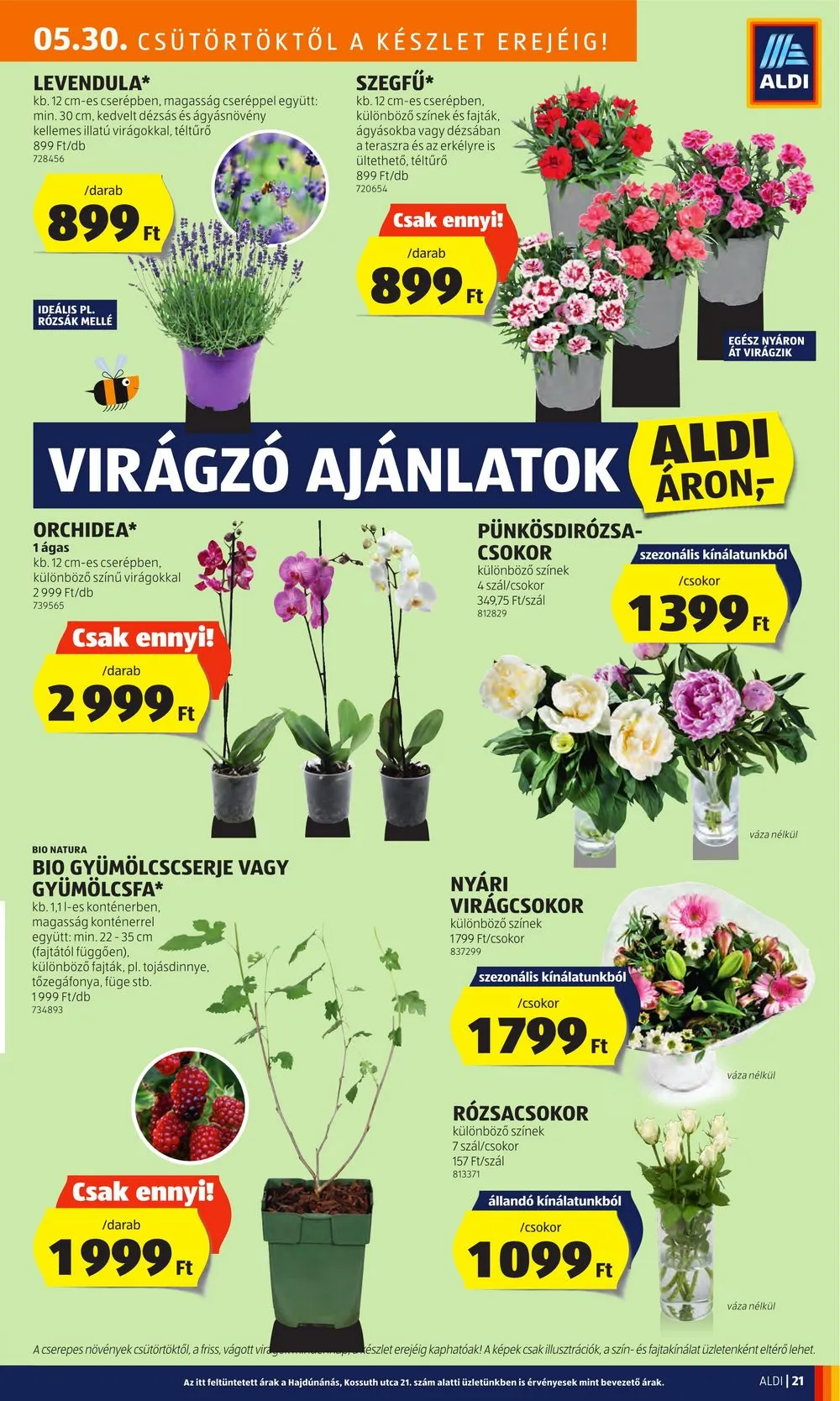 Aldi akciós újság 05.30–06.05 – 23. oldal