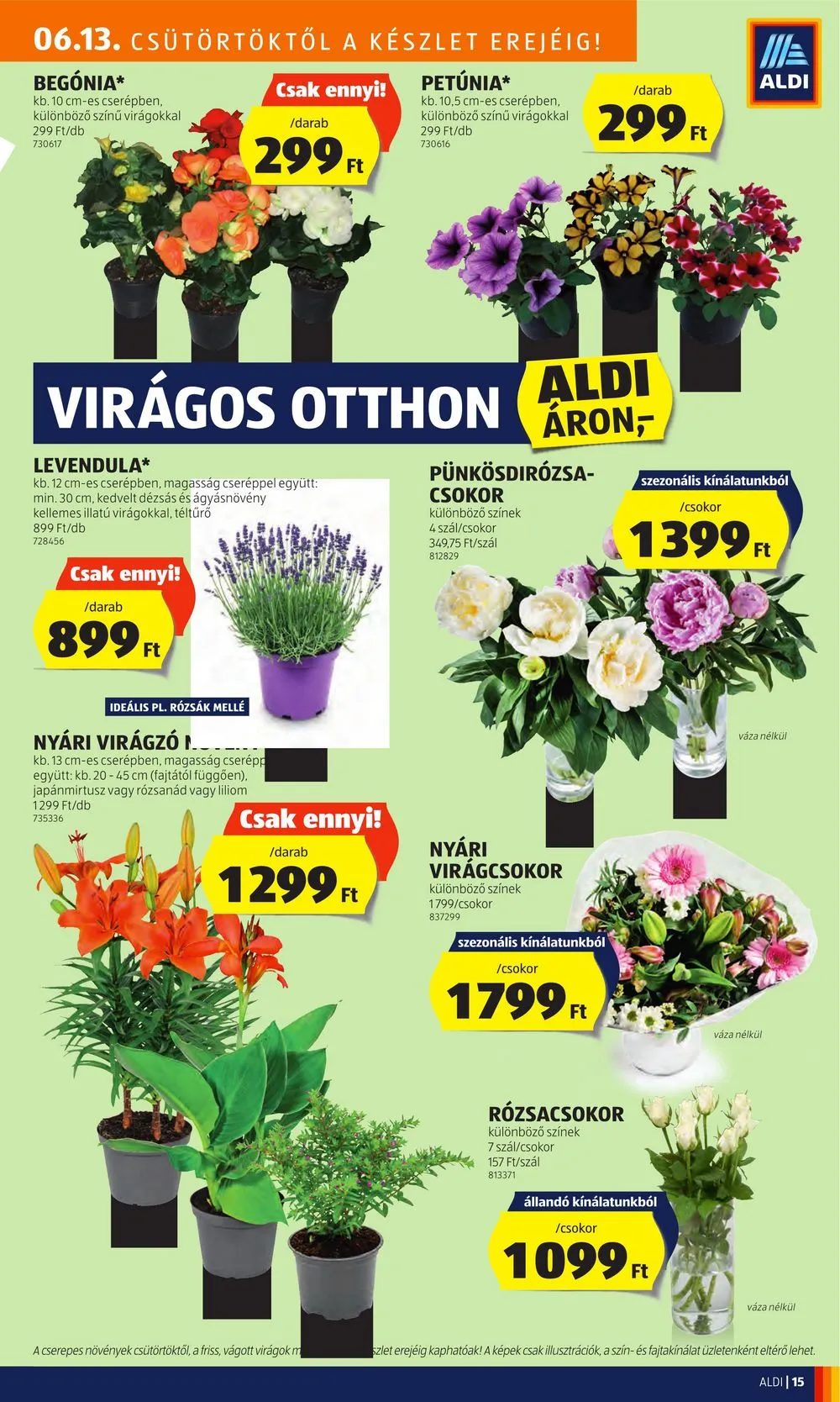 Aldi akciós újság 06.13–06.19 – 17. oldal