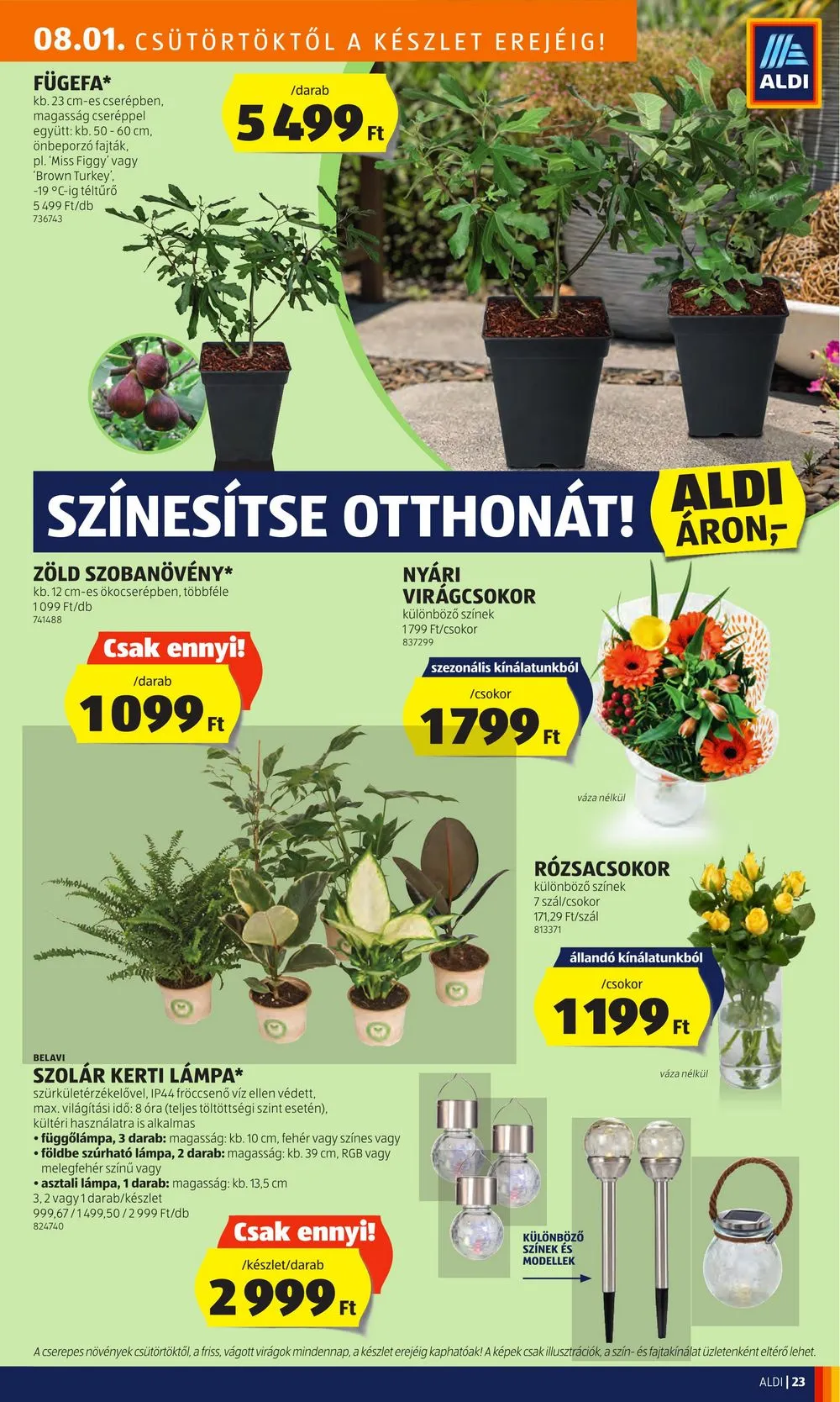 Aldi akciós újság 08.01–08.07 – 25. oldal