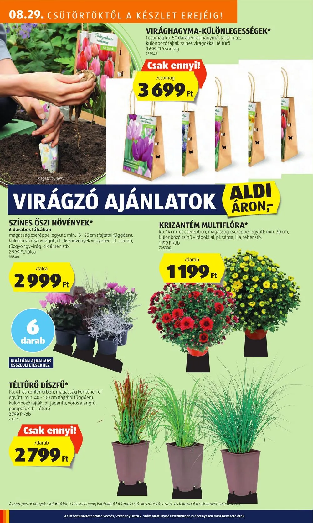 Aldi akciós újság 08.29–09.04 – 24. oldal