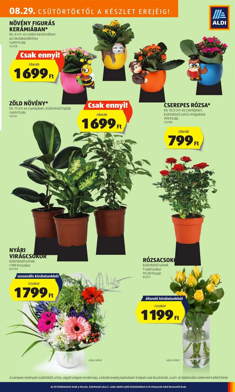 Aldi akciós újság 08.29–09.04 – 25. oldal