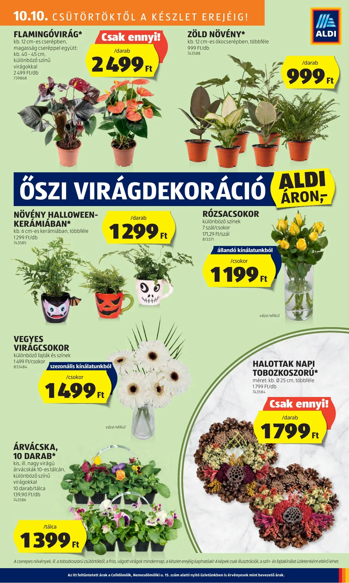 Aldi akciós újság 10.10–10.16 – 27. oldal