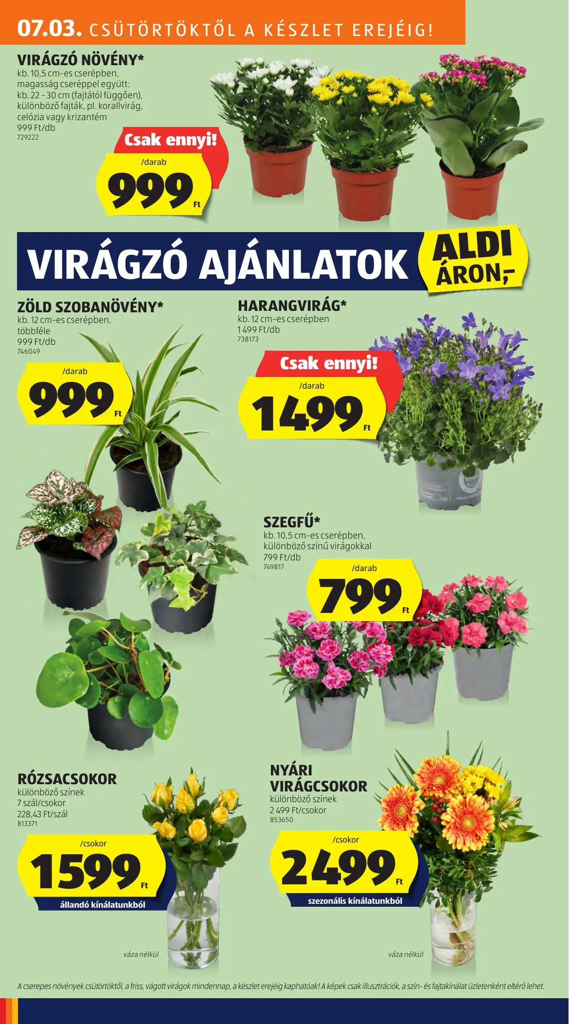 Aldi akciós újság 07.03–07.09 – 28. oldal