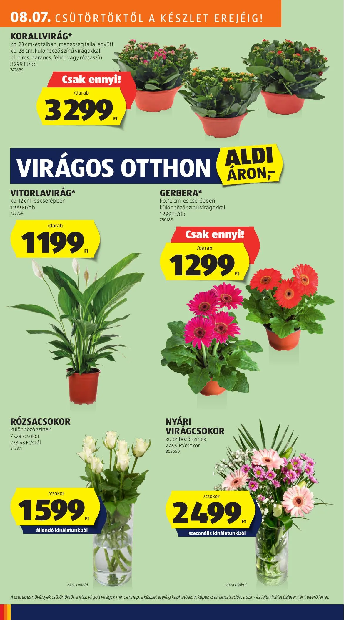 Aldi akciós újság 08.07–08.13 – 28. oldal