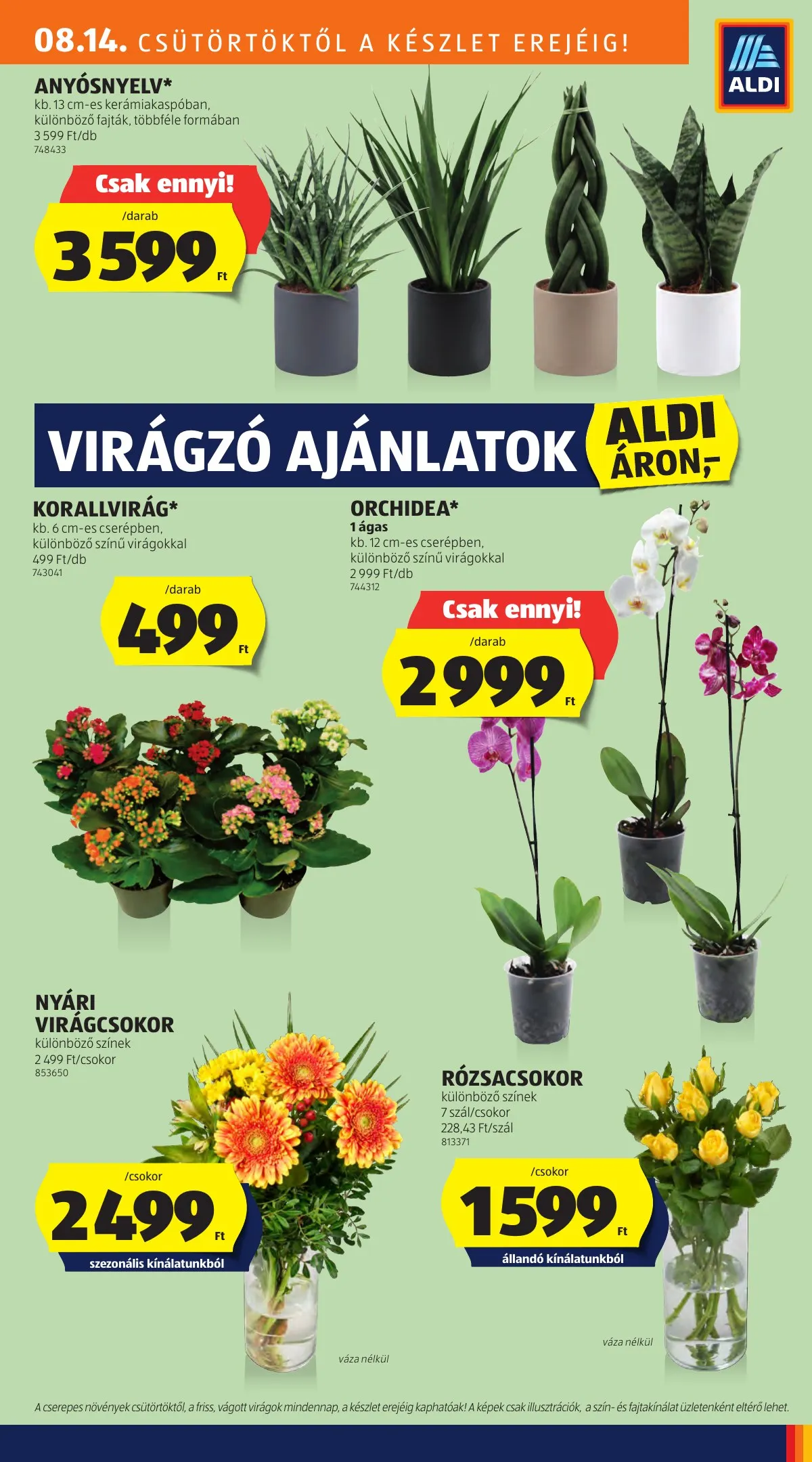 Aldi akciós újság 08.14–08.19 – 27. oldal