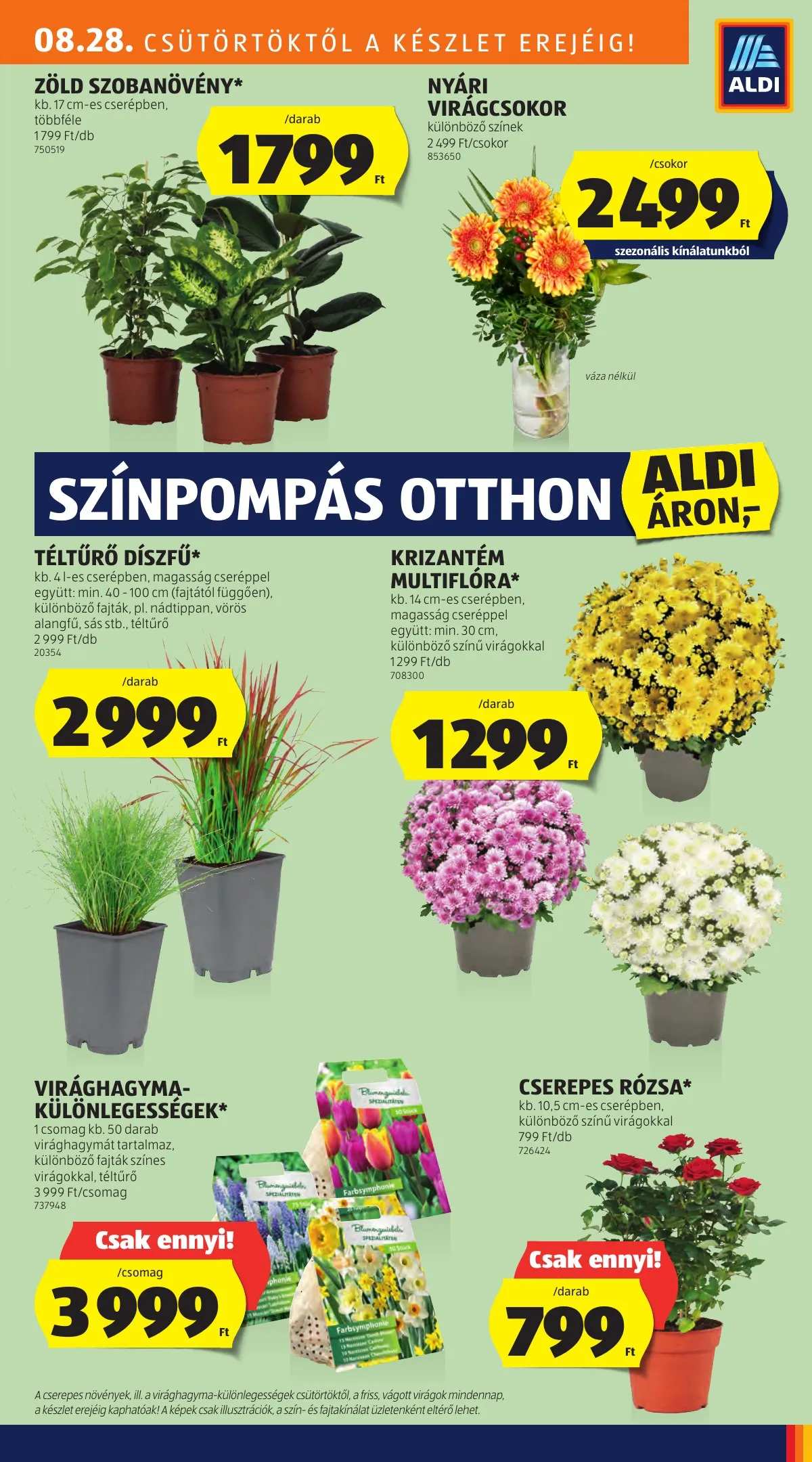 Aldi akciós újság 08.28–09.03 – 17. oldal