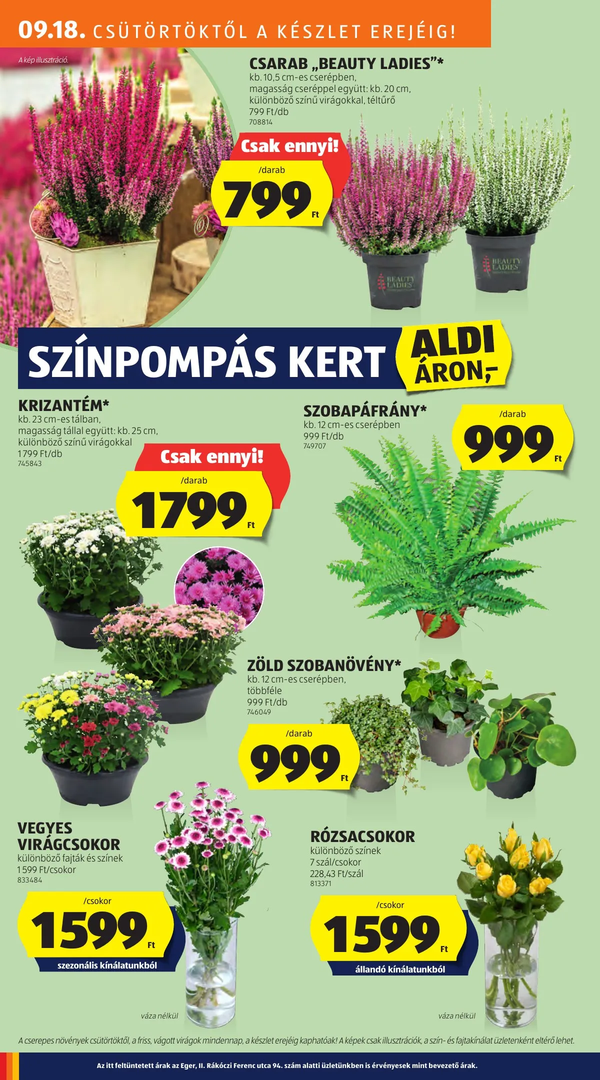 Aldi akciós újság 09.18–09.24 – 22. oldal