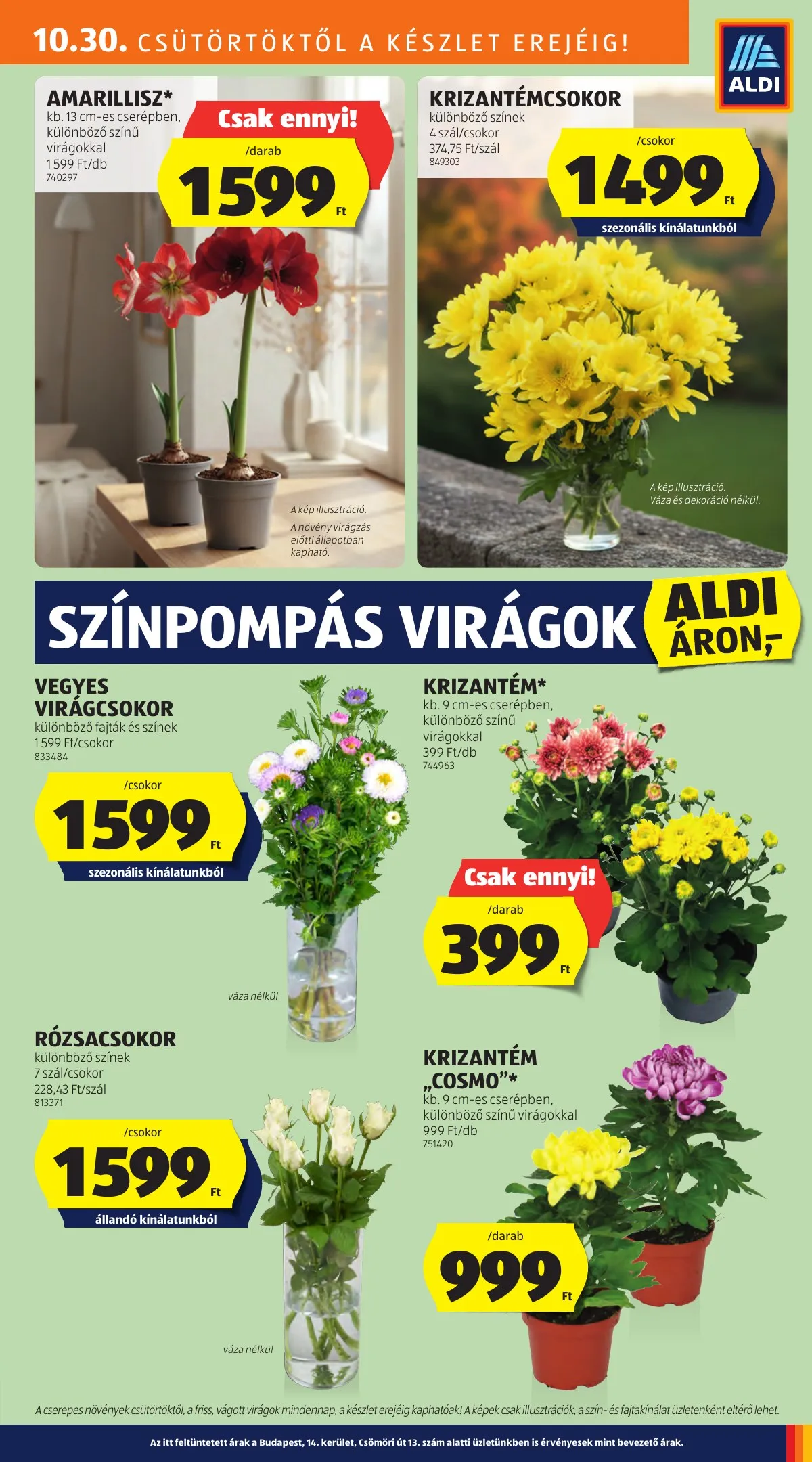 Aldi akciós újság 10.30–11.05 – 31. oldal