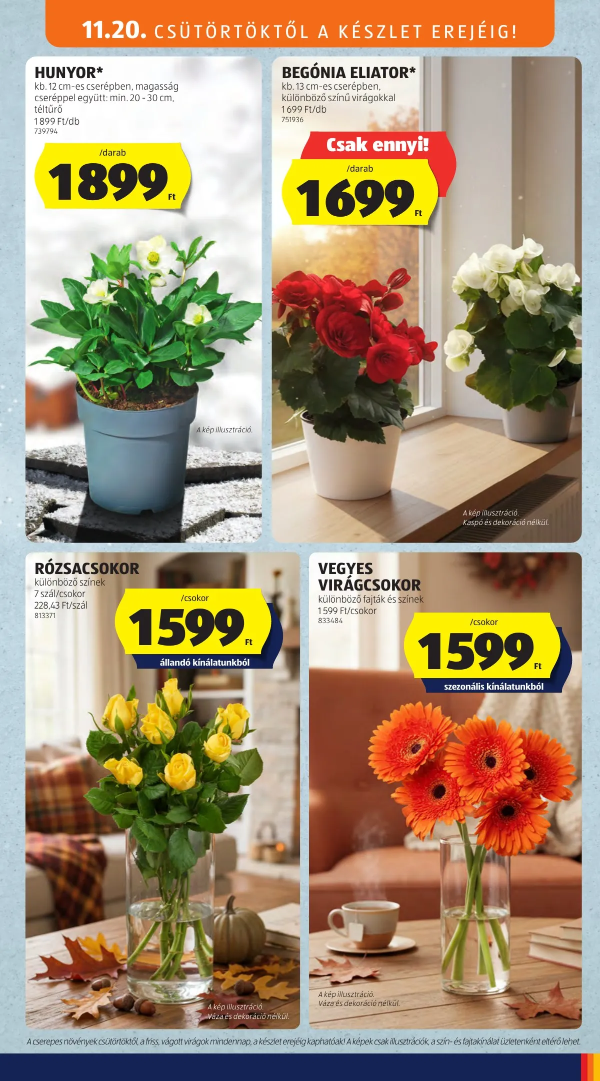 Aldi akciós újság 11.20–11.26 – 31. oldal