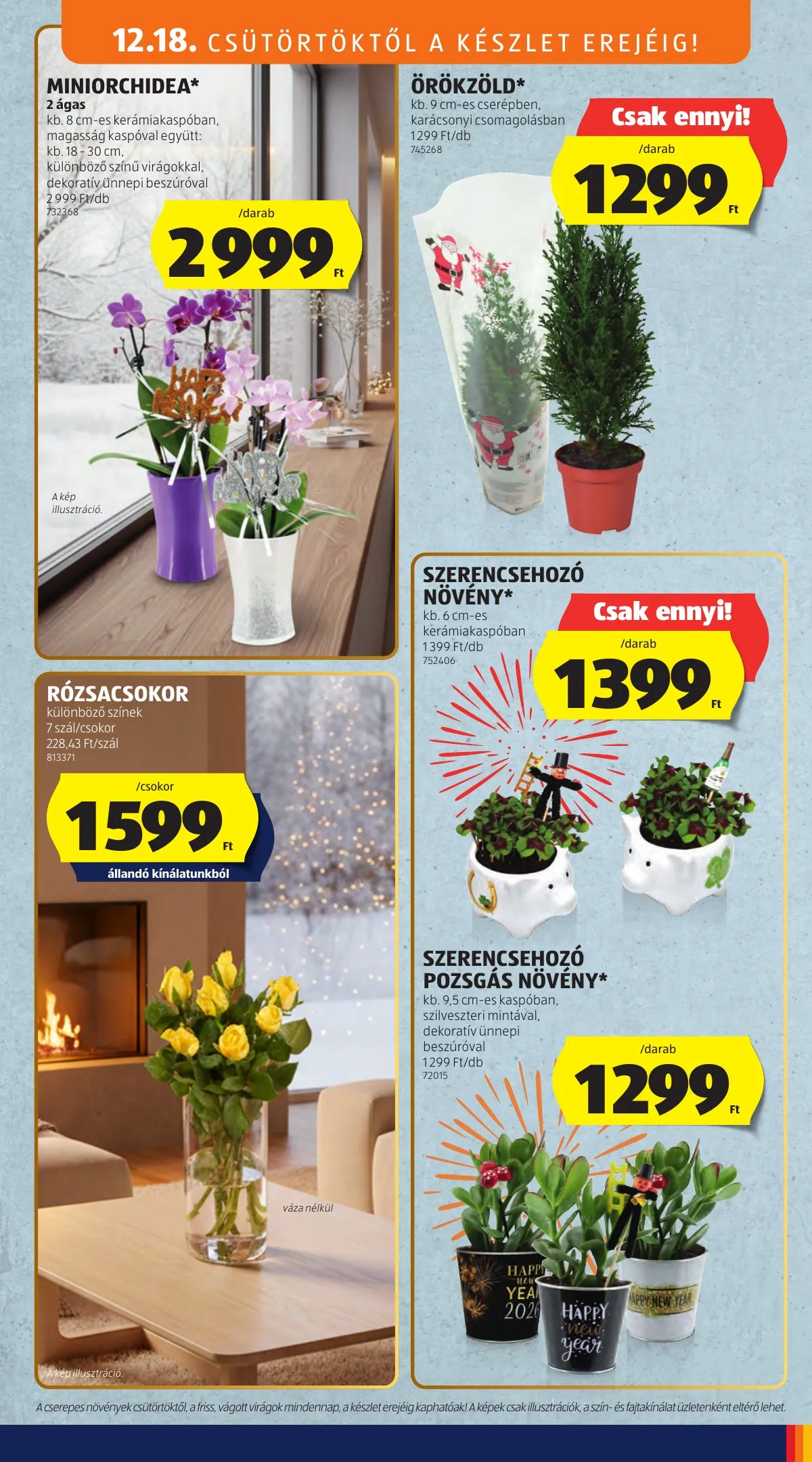 Aldi akciós újság 12.18–12.24 – 35. oldal