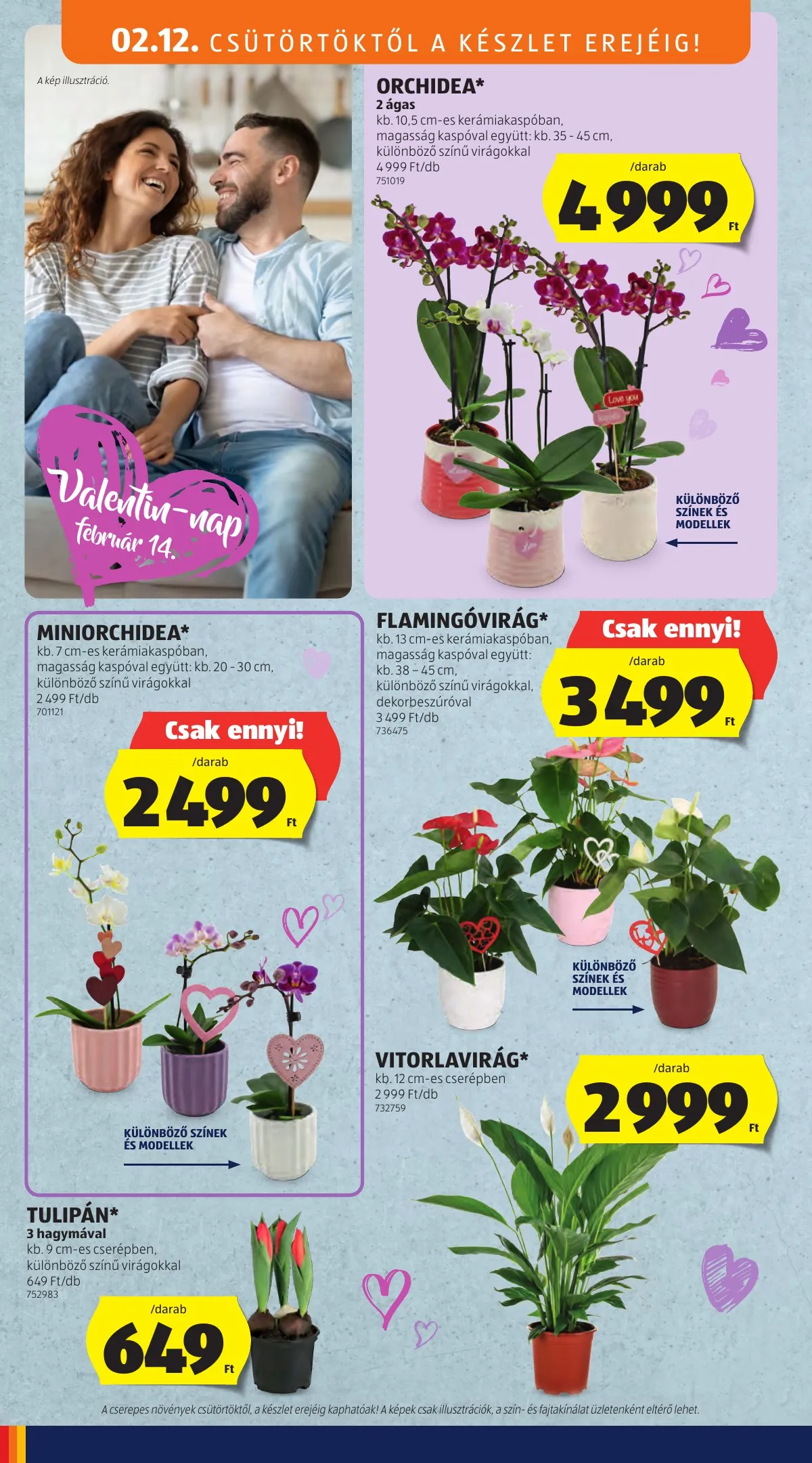 Aldi akciós újság 02.12–02.18 – 16. oldal
