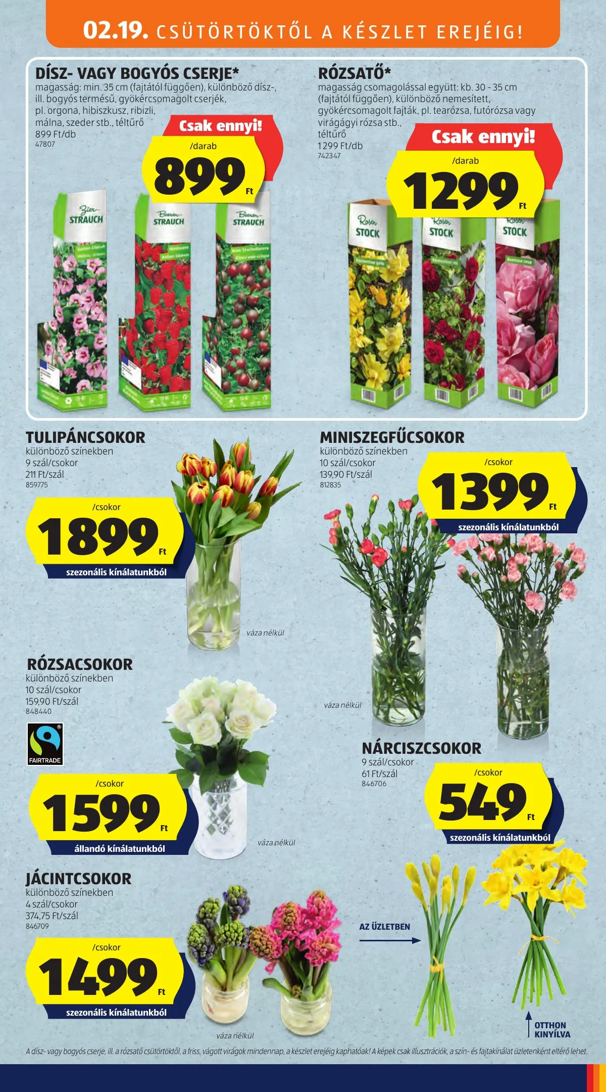 Aldi akciós újság 02.19–02.25 – 27. oldal