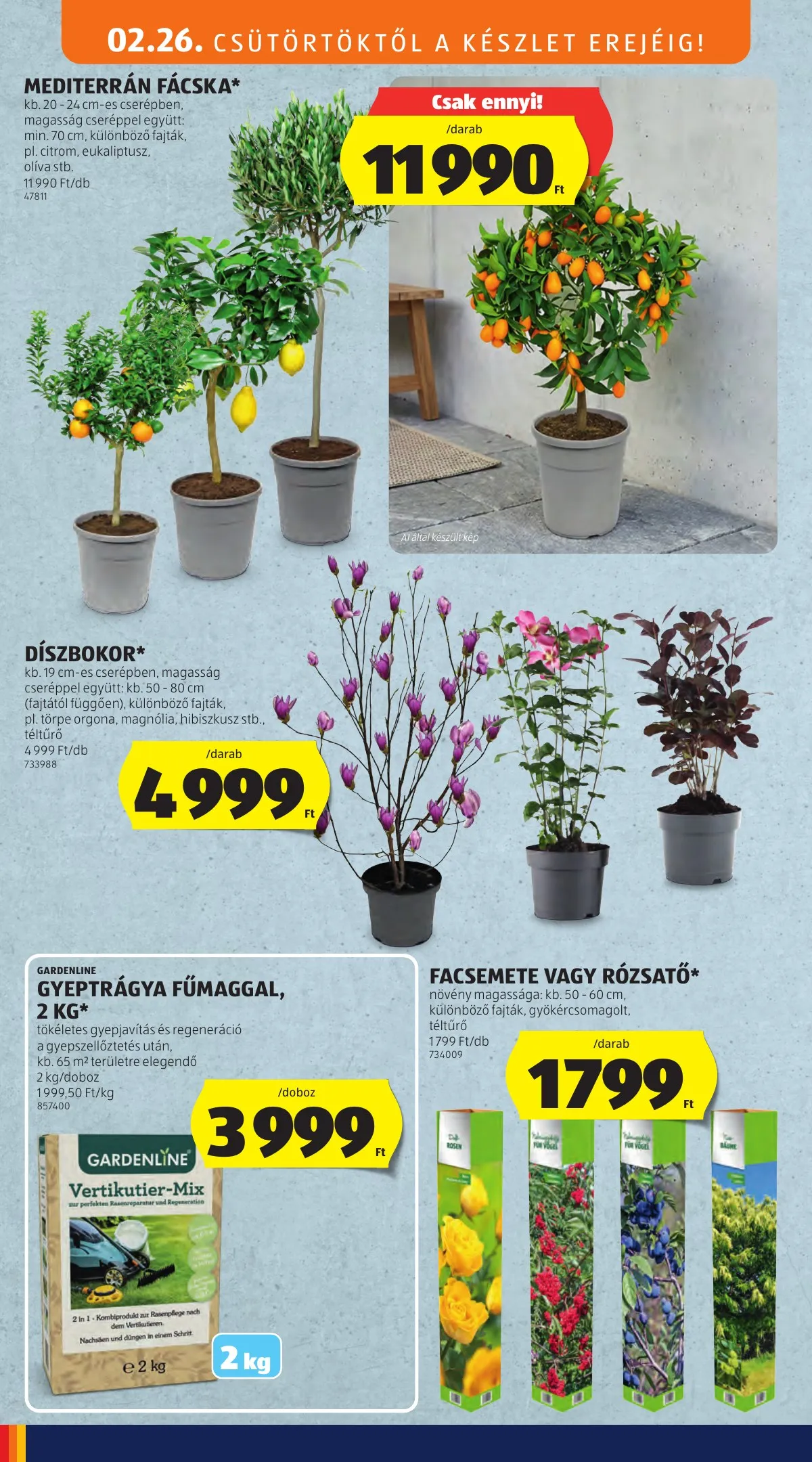 Aldi akciós újság 02.26–03.04 – 28. oldal