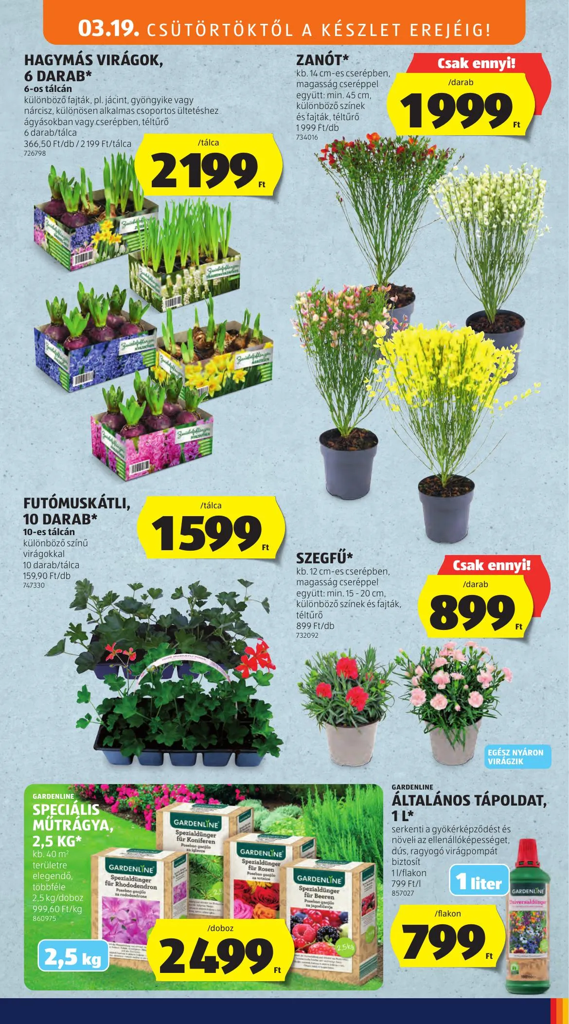 Aldi akciós újság 03.19–03.25 – 51. oldal