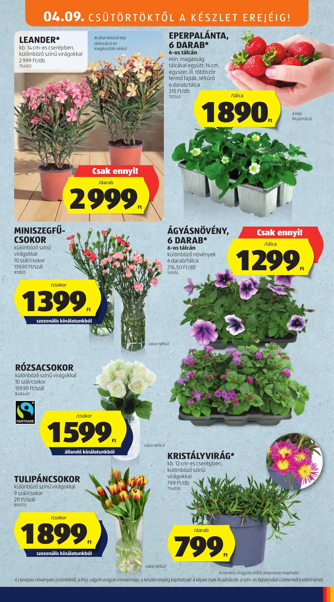 Aldi akciós újság 04.09–04.12 – 31. oldal