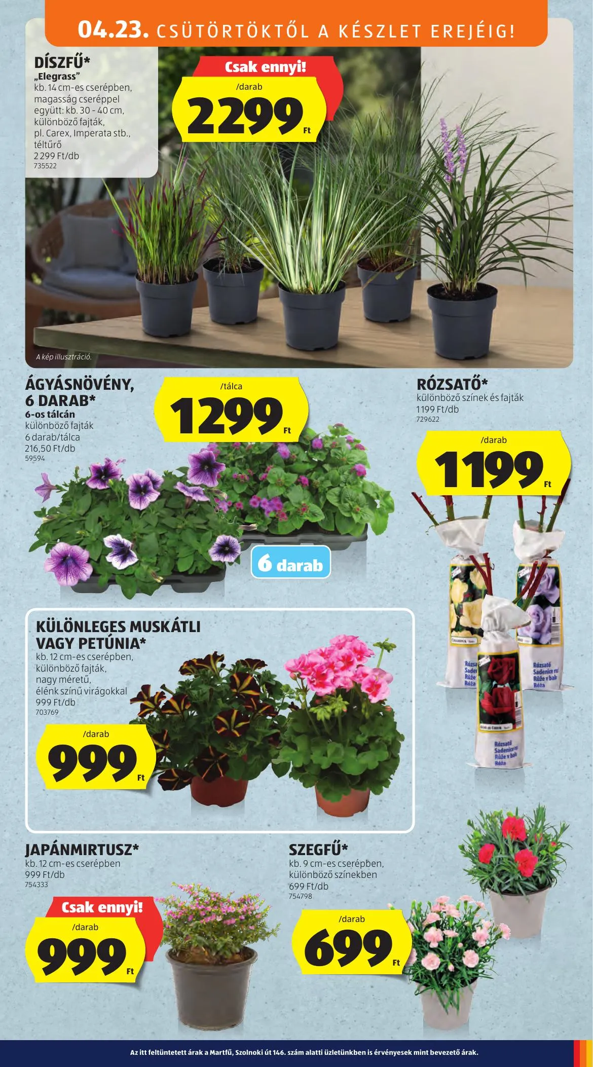 Aldi akciós újság 04.23–04.29 – 31. oldal