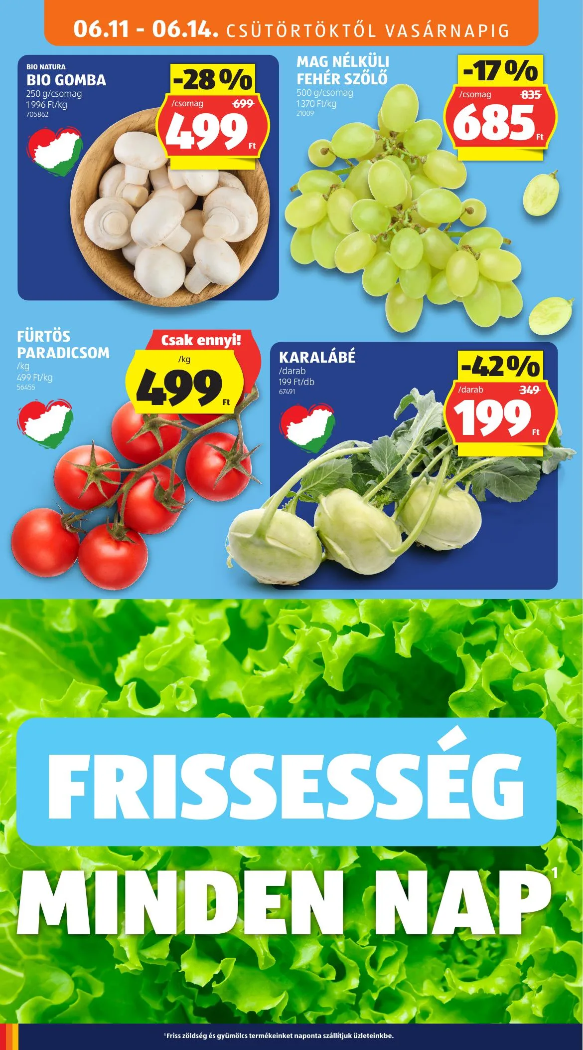 Aldi akciós újság 06.11–06.17 – 10. oldal