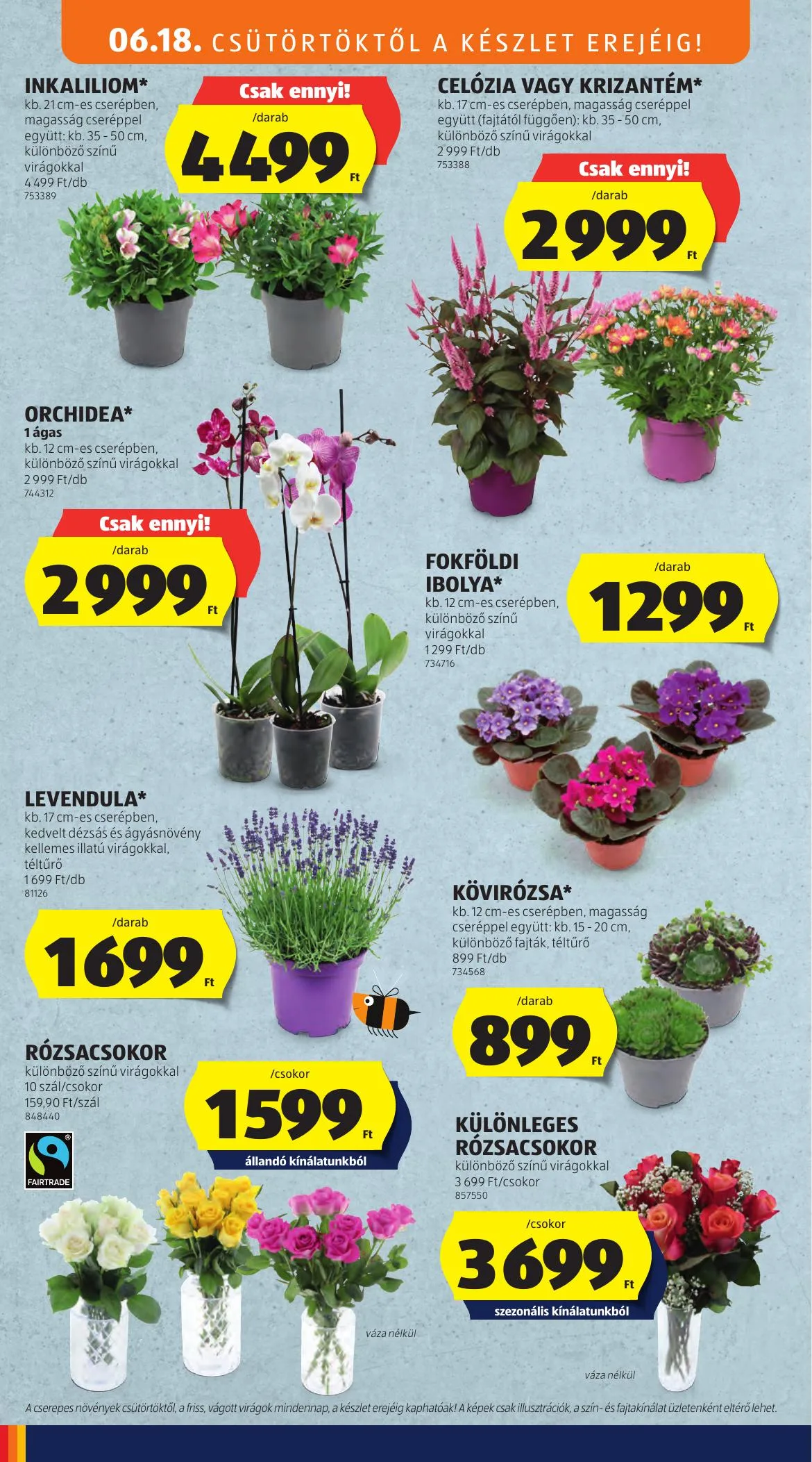 Aldi akciós újság 06.18–06.24 – 34. oldal