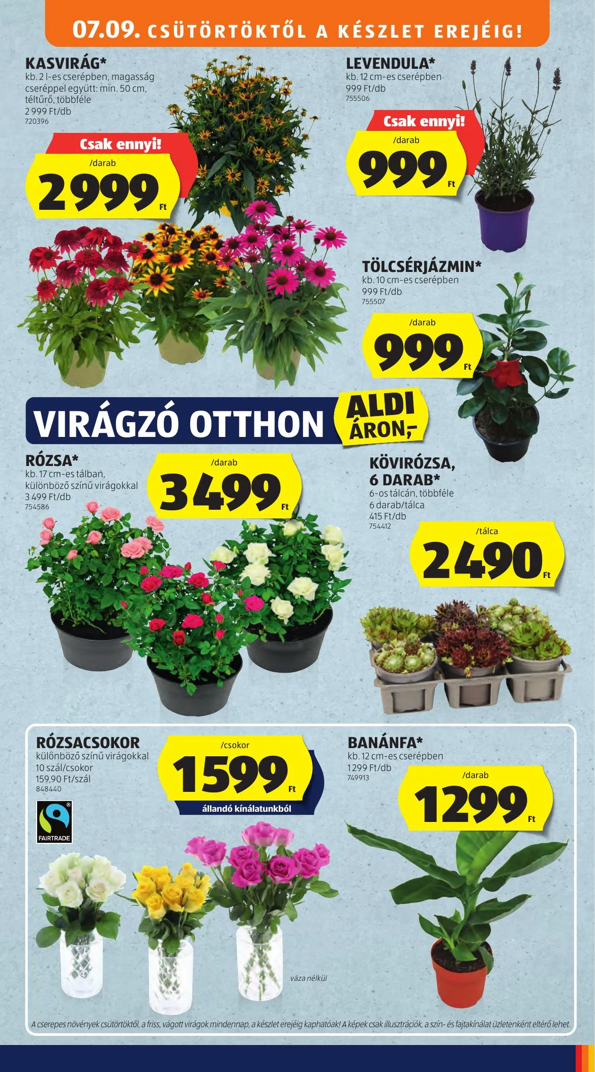 Aldi akciós újság 07.09–07.15 – 45. oldal