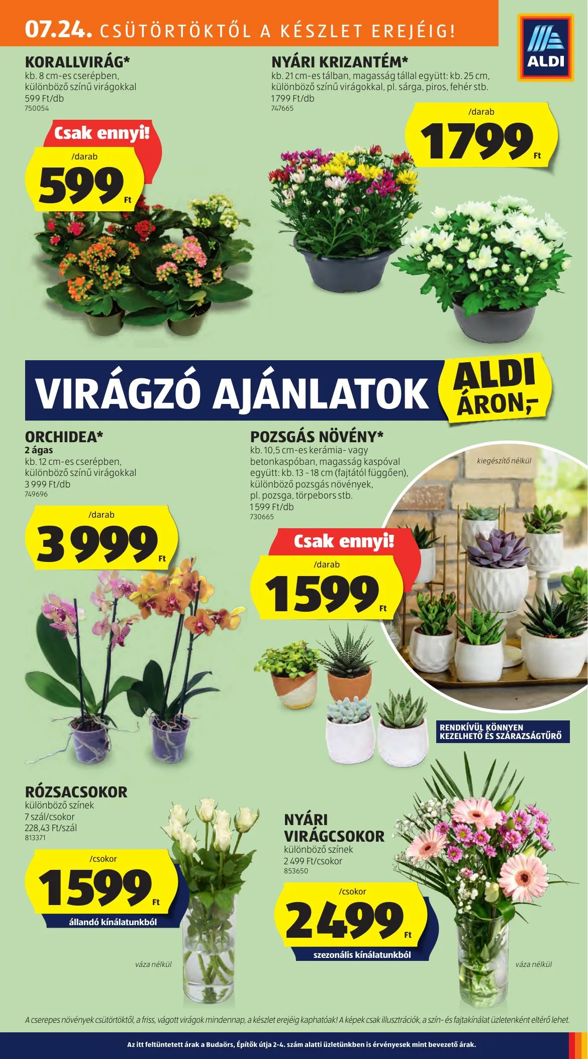 Aldi akciós újság Kozepso Sor 07.24–07.24 – 9. oldal