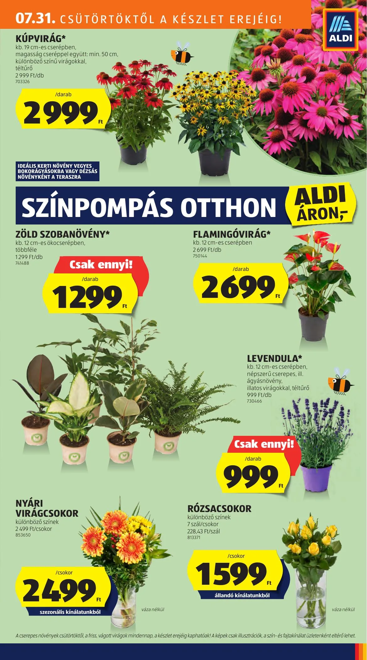 Aldi akciós újság Kozepso Sor 07.31–08.06 – 10. oldal