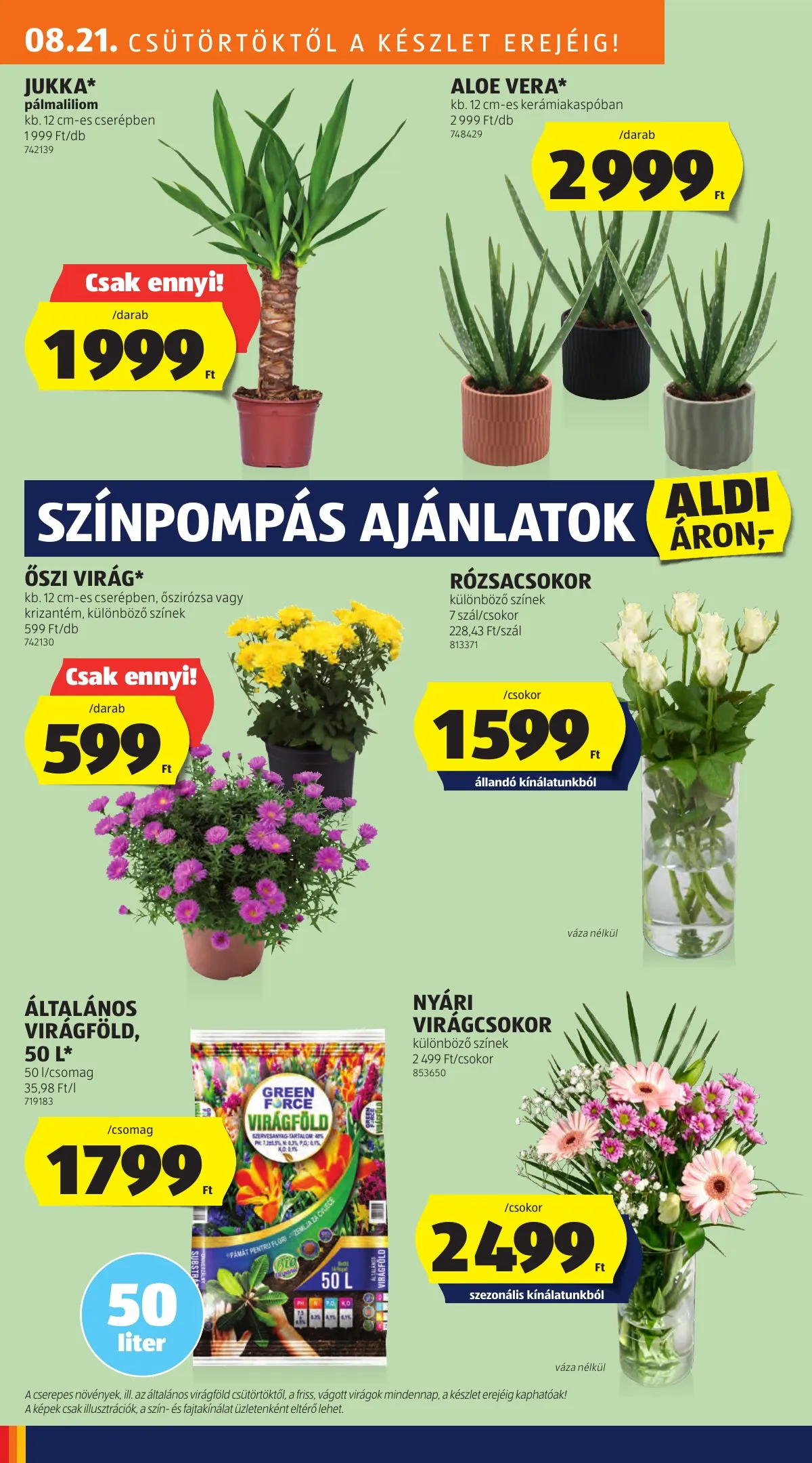 Aldi akciós újság Kozepso sor 08.21–08.21 – 10. oldal