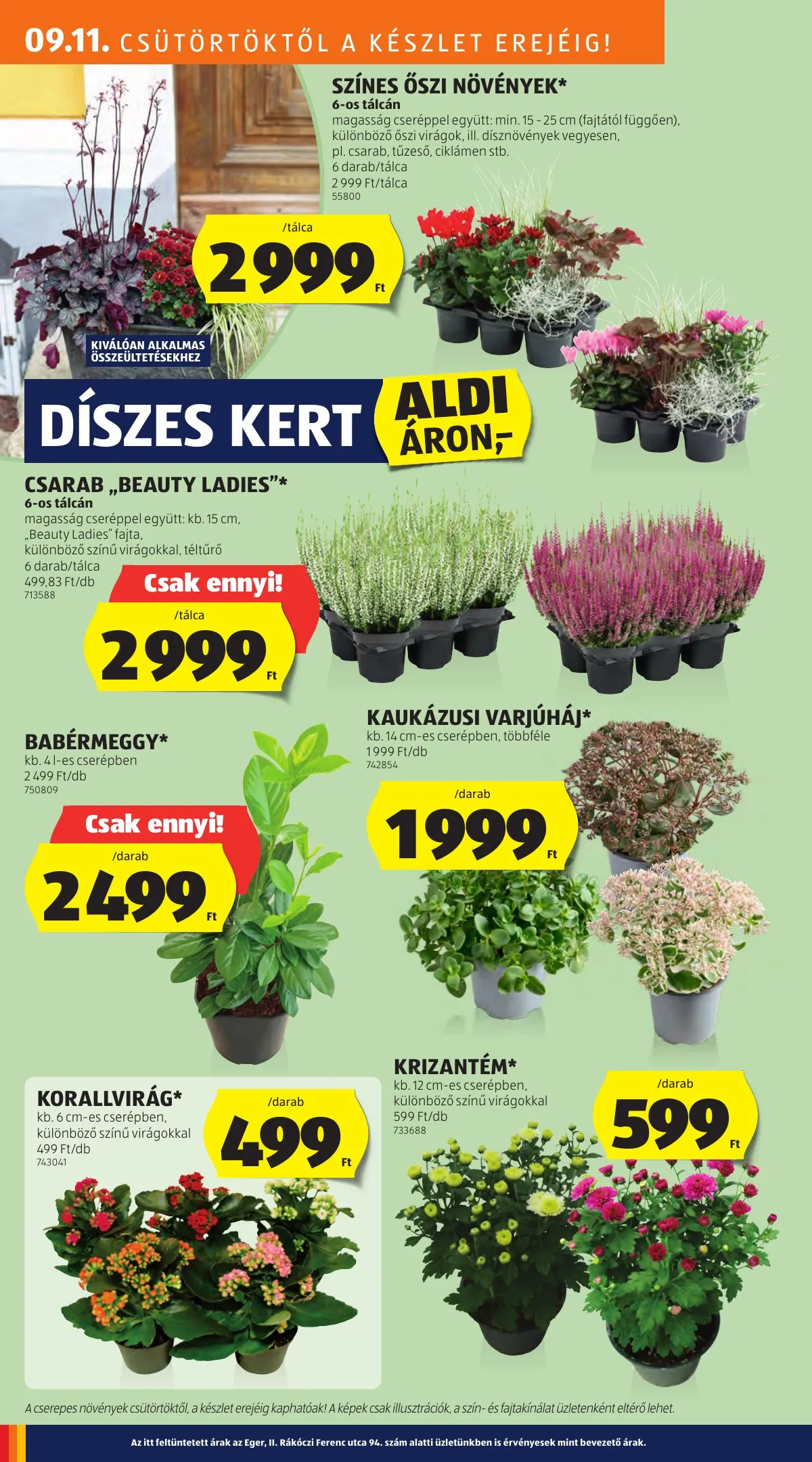 Aldi akciós újság Kozepso sor 09.11–09.11 – 6. oldal
