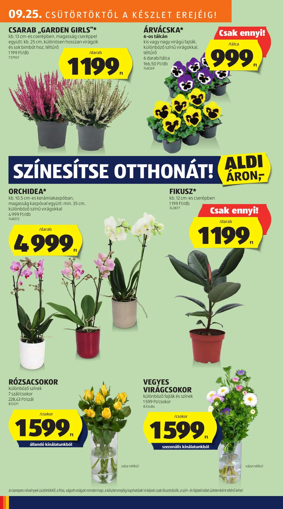 Aldi akciós újság Kozepso sor 09.25–09.25 – 8. oldal