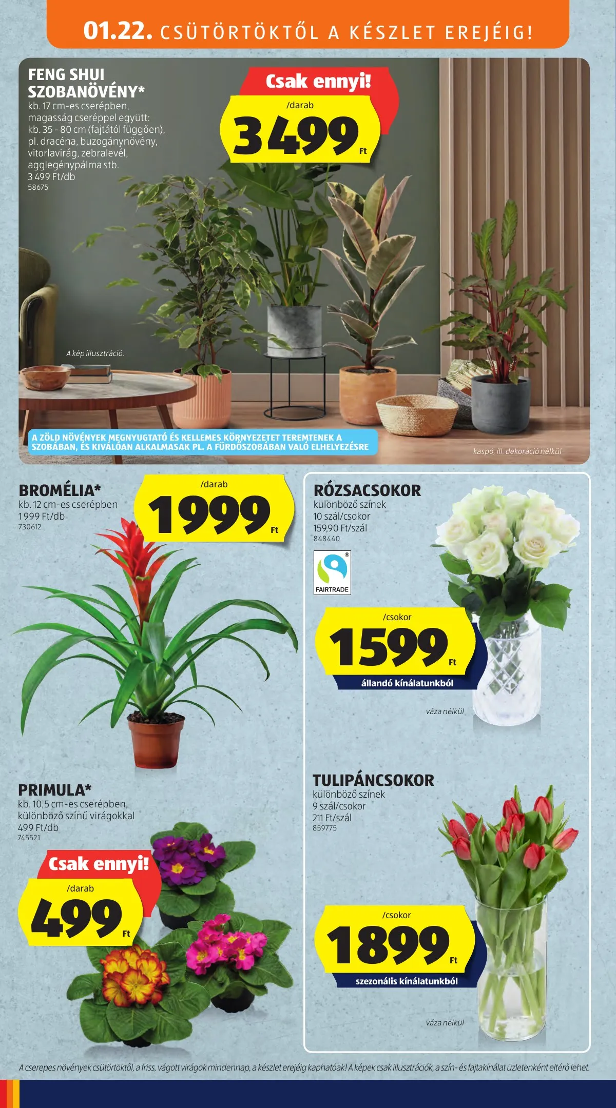 Aldi akciós újság Kozepso sor 01.22–01.22 – 4. oldal