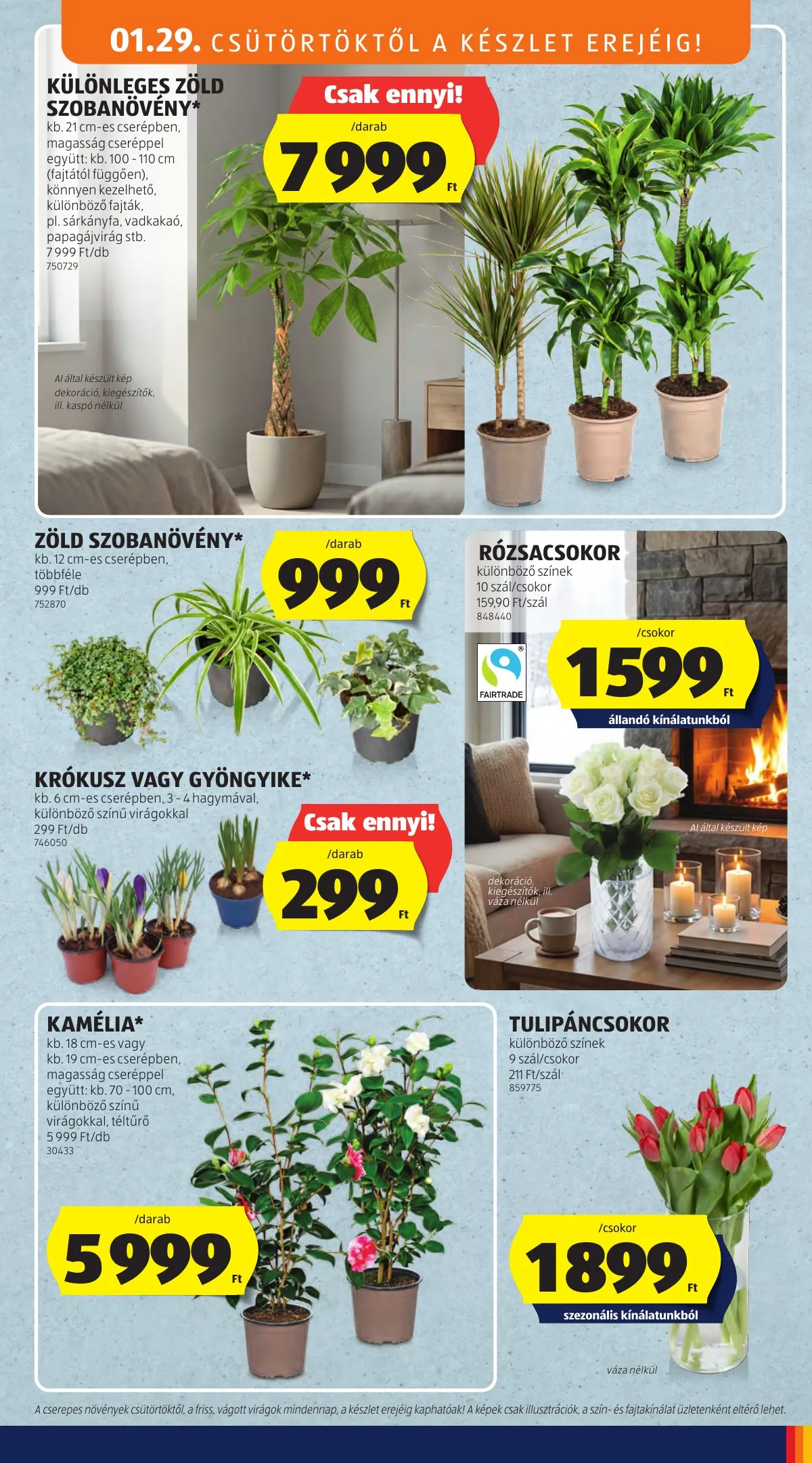 Aldi akciós újság Kozepso sor 01.29–01.29 – 9. oldal