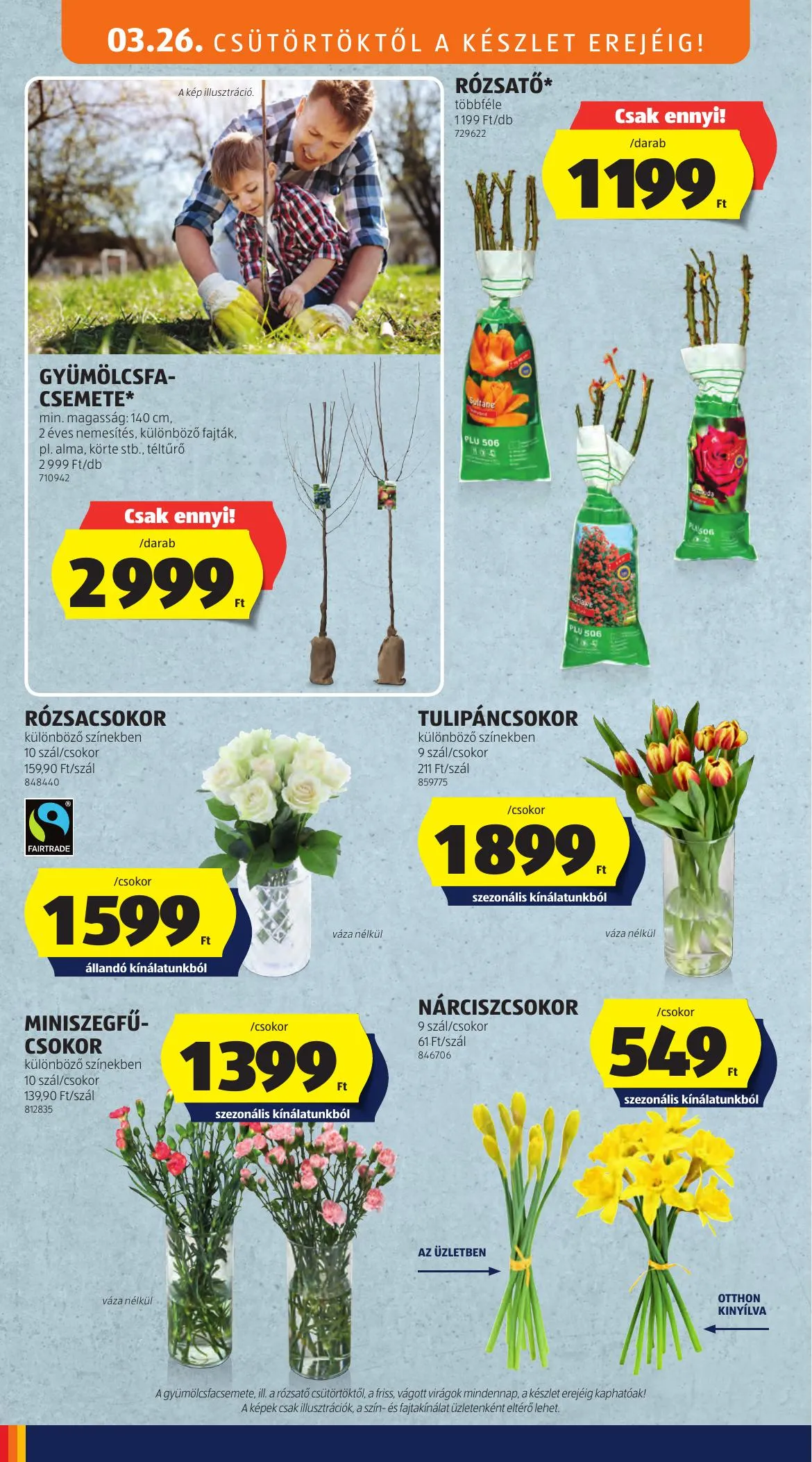 Aldi akciós újság Kozepso sor 03.26–03.26 – 10. oldal