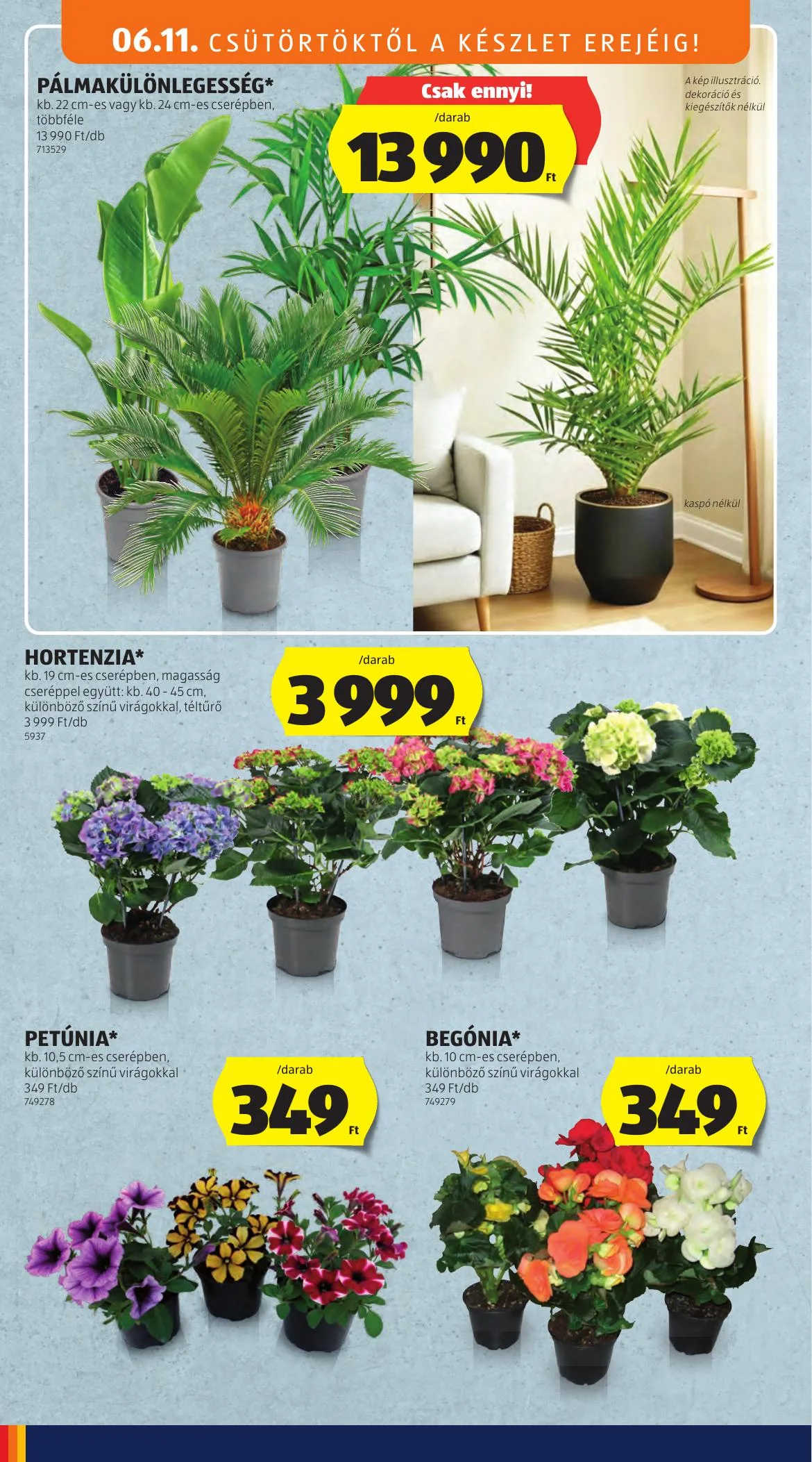Aldi akciós újság Kozepso sor 06.11–06.11 – 6. oldal