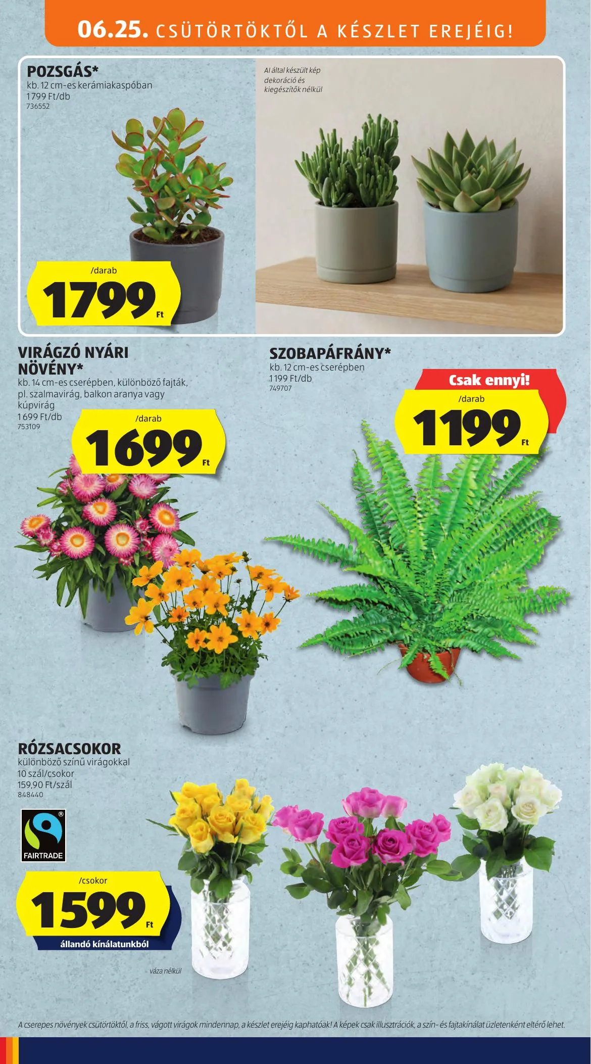 Aldi akciós újság Kozepso sor 06.25–06.25 – 6. oldal