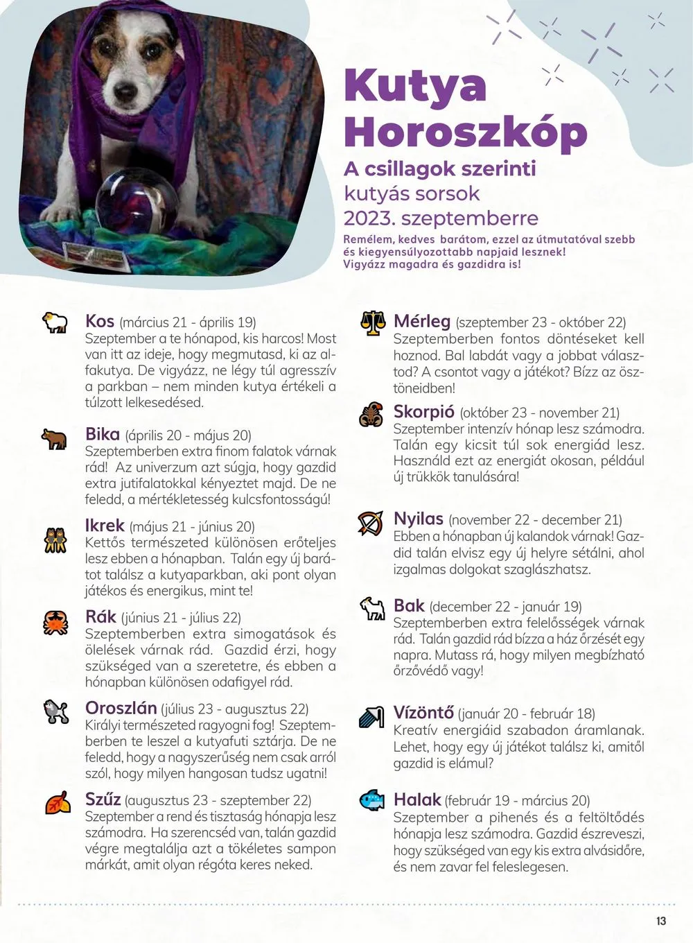 Alphazoo akciós újság 09.11–09.24 – 13. oldal