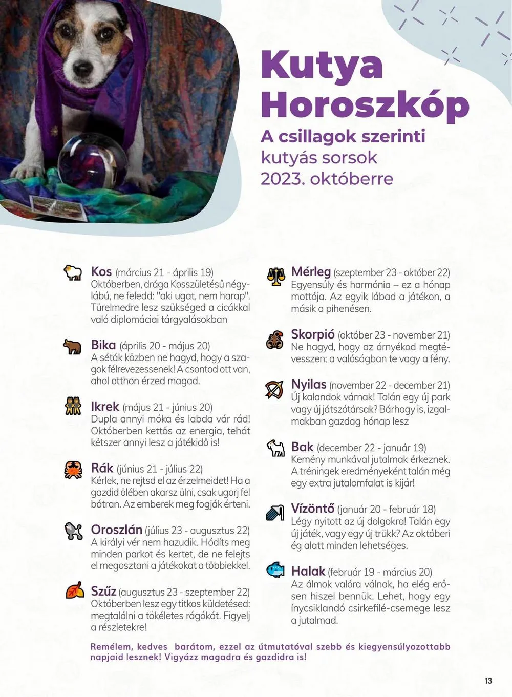 Alphazoo akciós újság 10.09–10.22 – 13. oldal