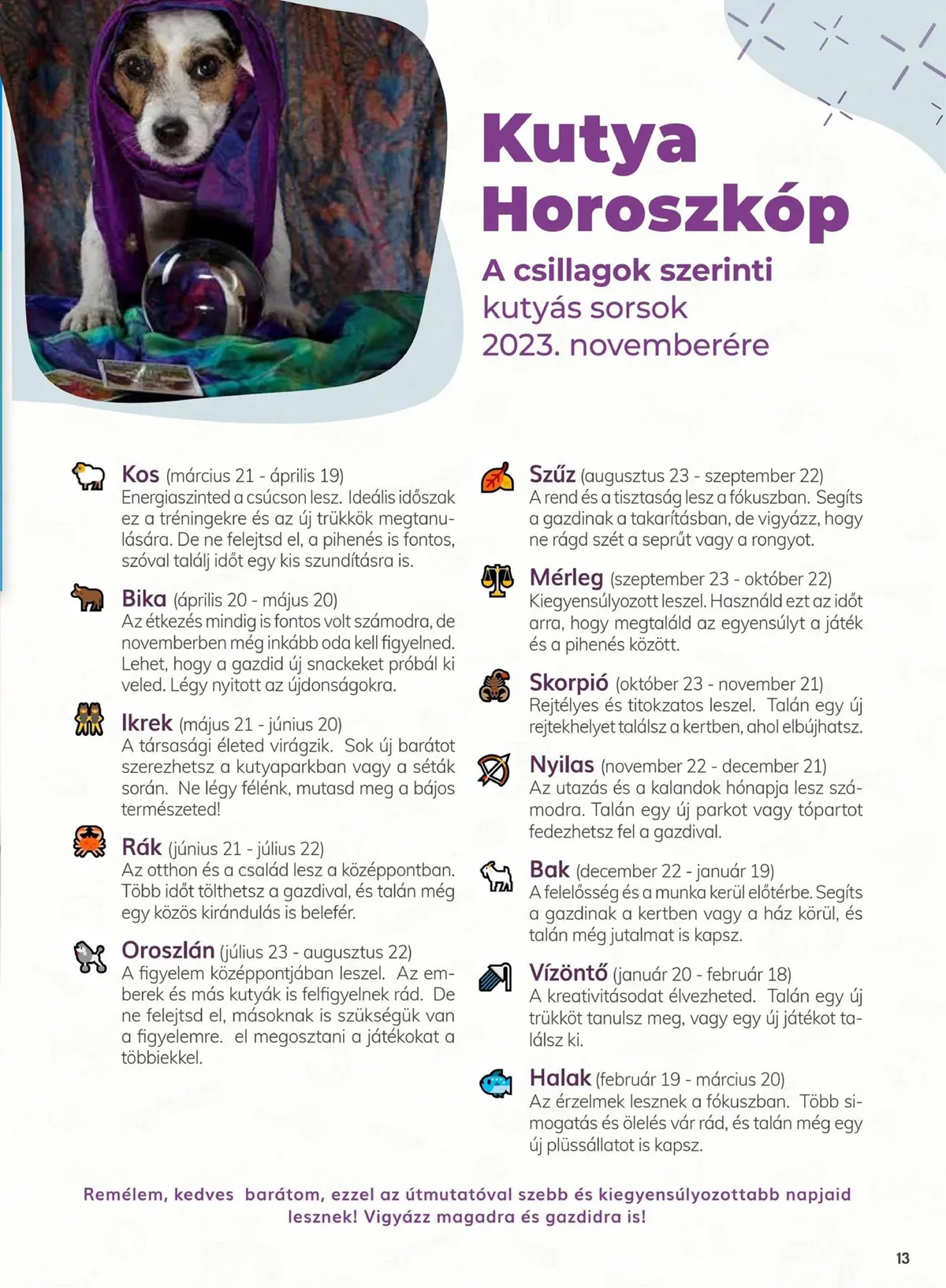 Alphazoo akciós újság 11.06–11.19 – 13. oldal