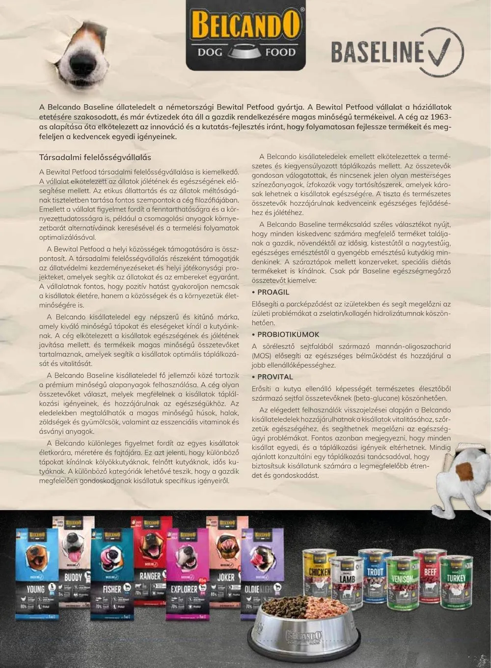 Alphazoo akciós újság 12.04–12.24 – 5. oldal