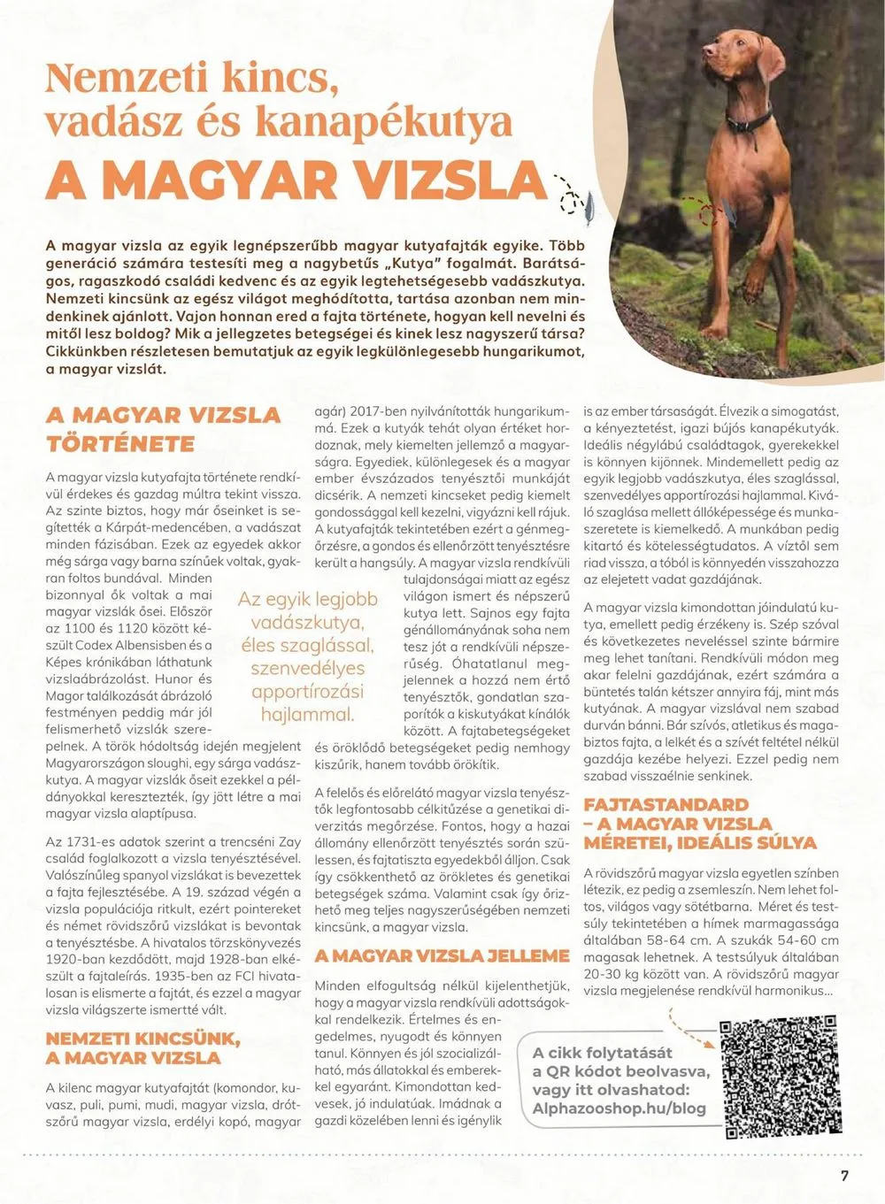 Alphazoo akciós újság 12.04–12.24 – 7. oldal