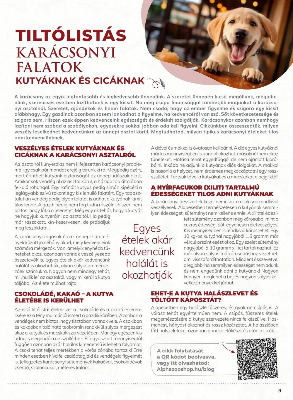 Alphazoo akciós újság 12.04–12.24 – 9. oldal