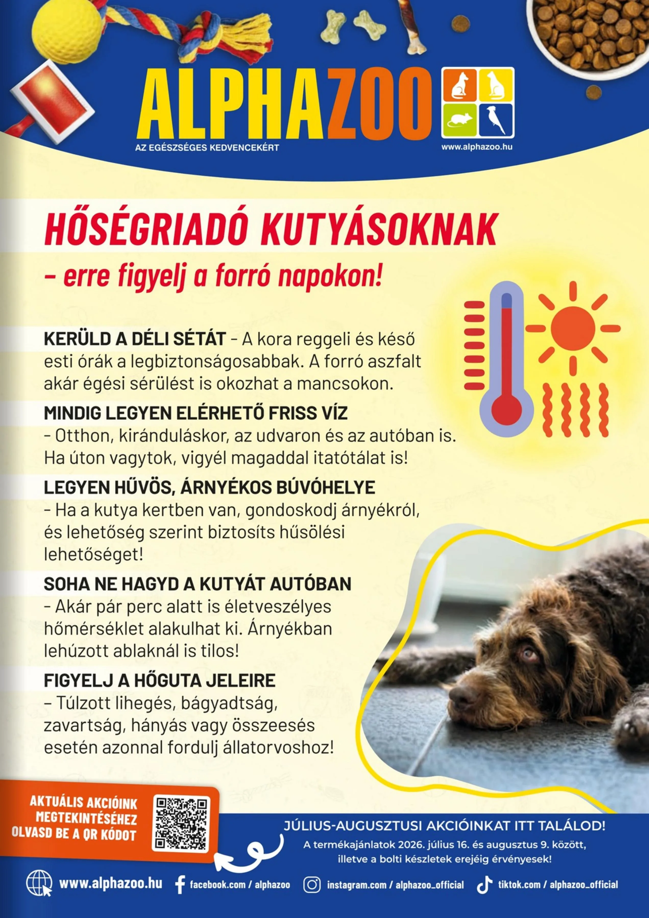 Alphazoo akciós újság 07.16–08.09 – 25. oldal
