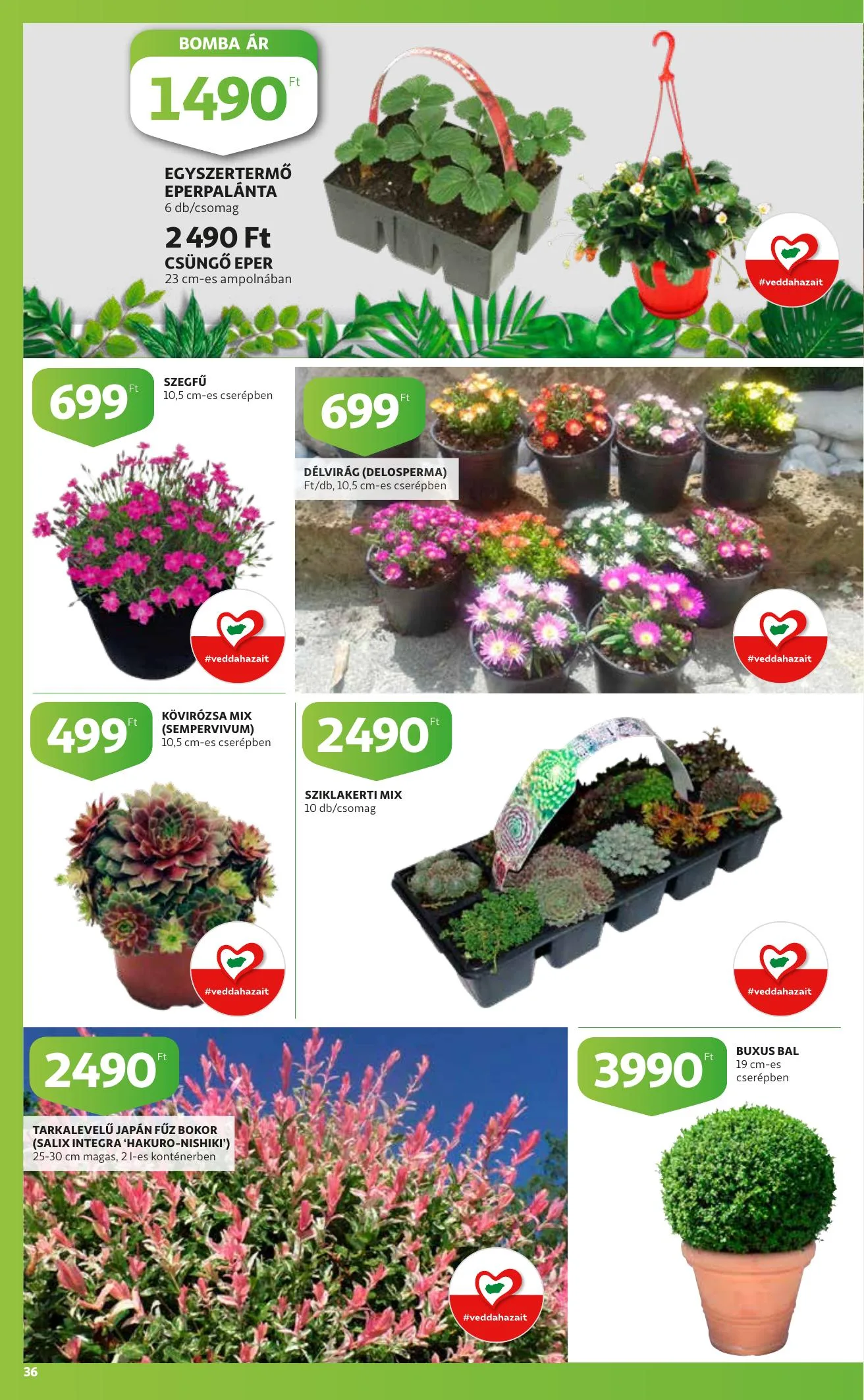 Auchan akciós újság 05.20–05.26 – 36. oldal