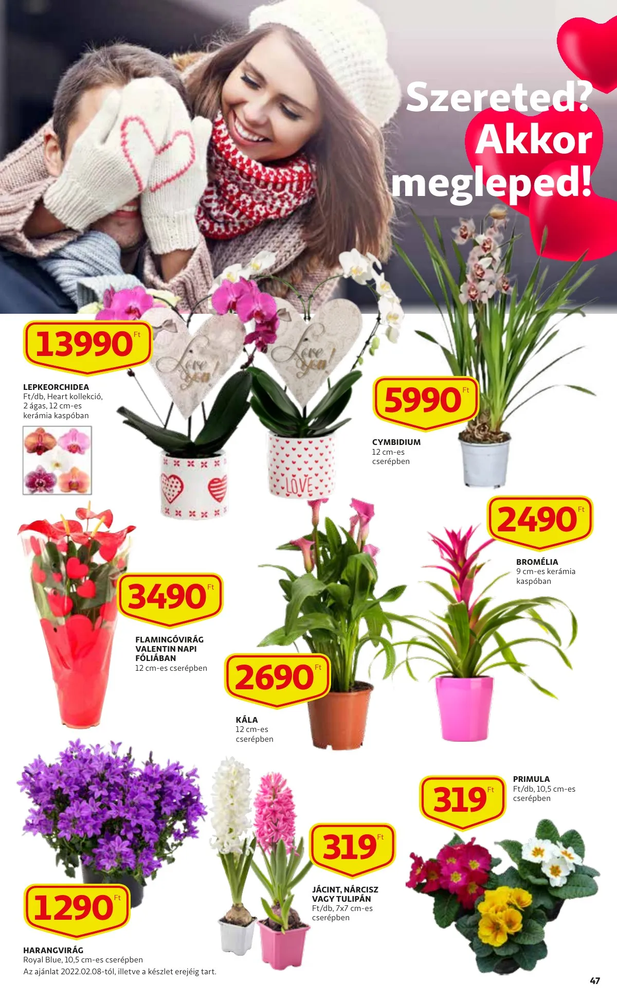 Auchan akciós újság 02.03–02.16 – 47. oldal