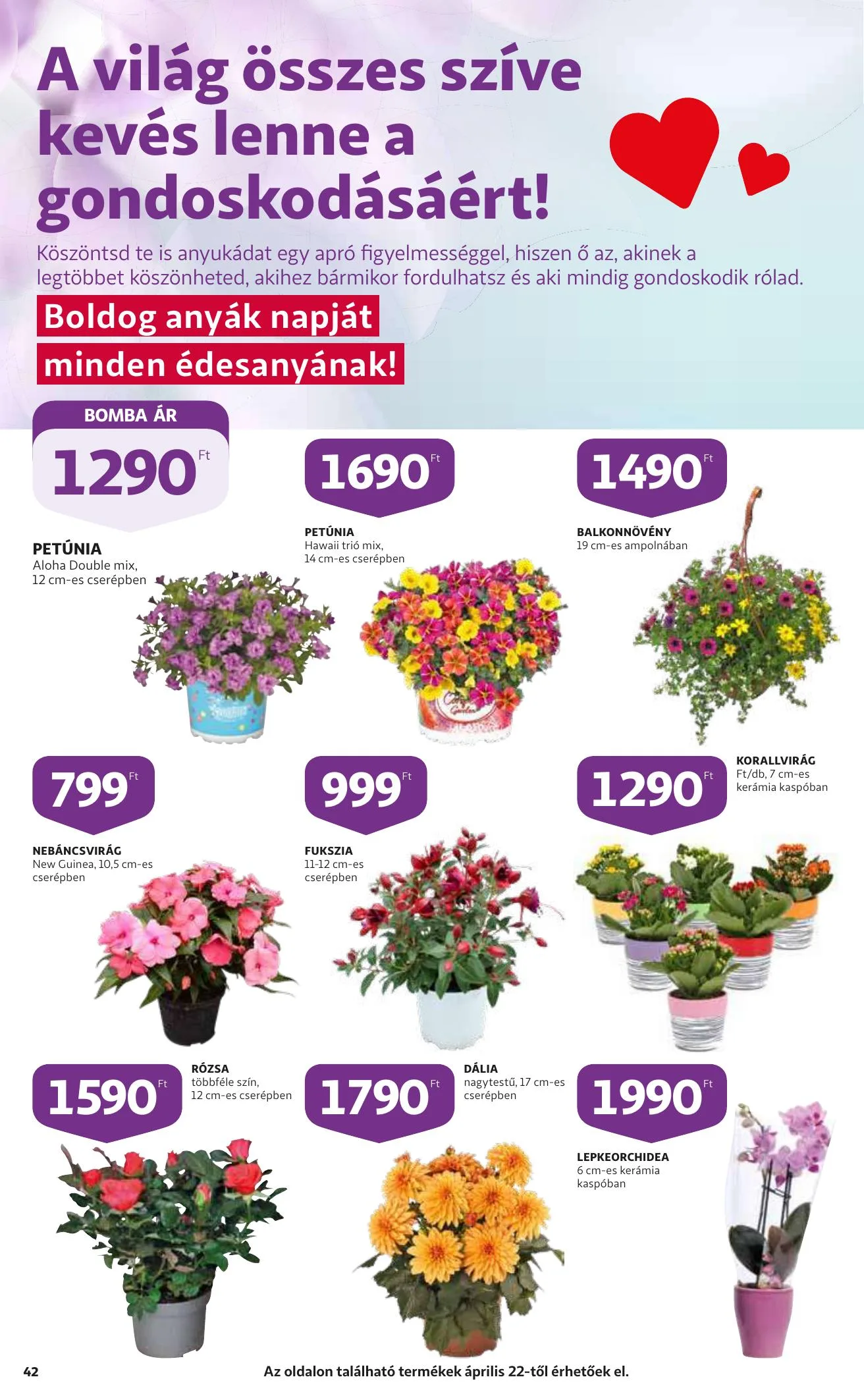 Auchan akciós újság 04.21–04.27 – 42. oldal