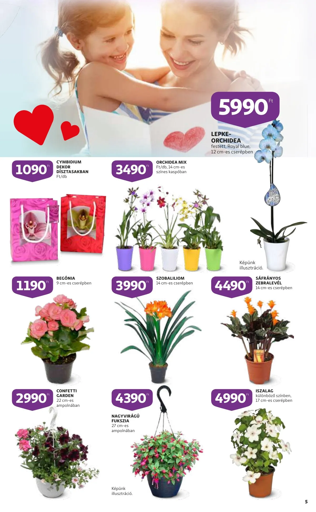 Auchan akciós újság 04.28–05.04 – 5. oldal