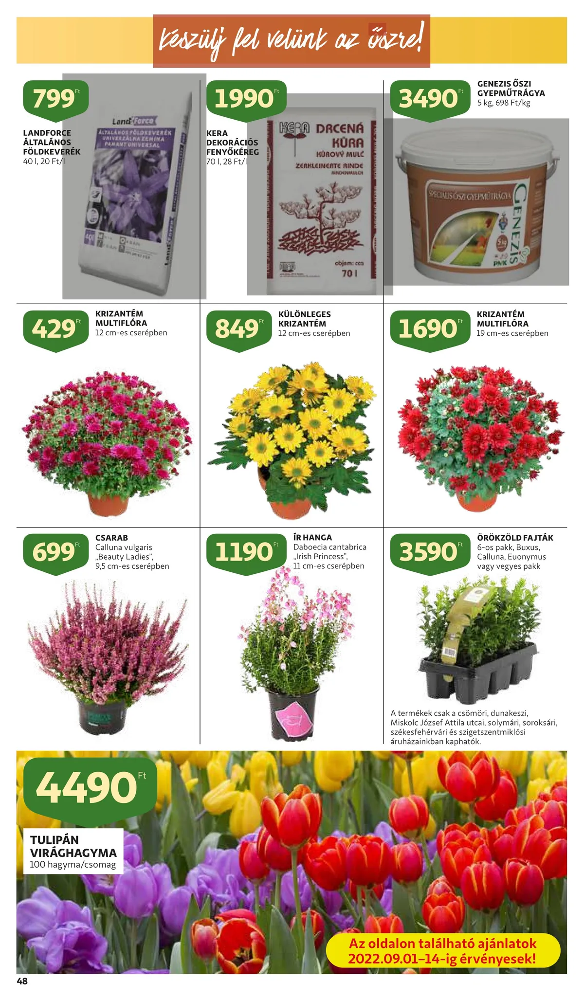 Auchan akciós újság 09.01–09.07 – 48. oldal