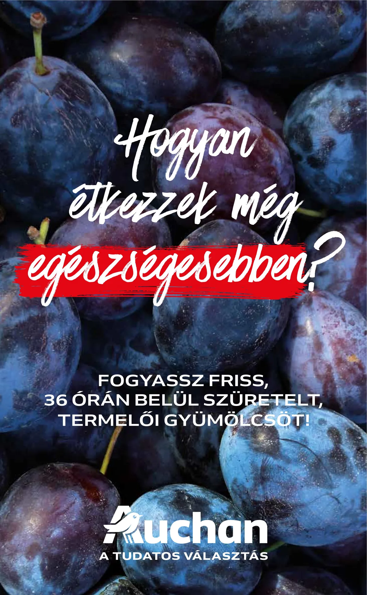 Auchan akciós újság 09.22–09.28 – 14. oldal