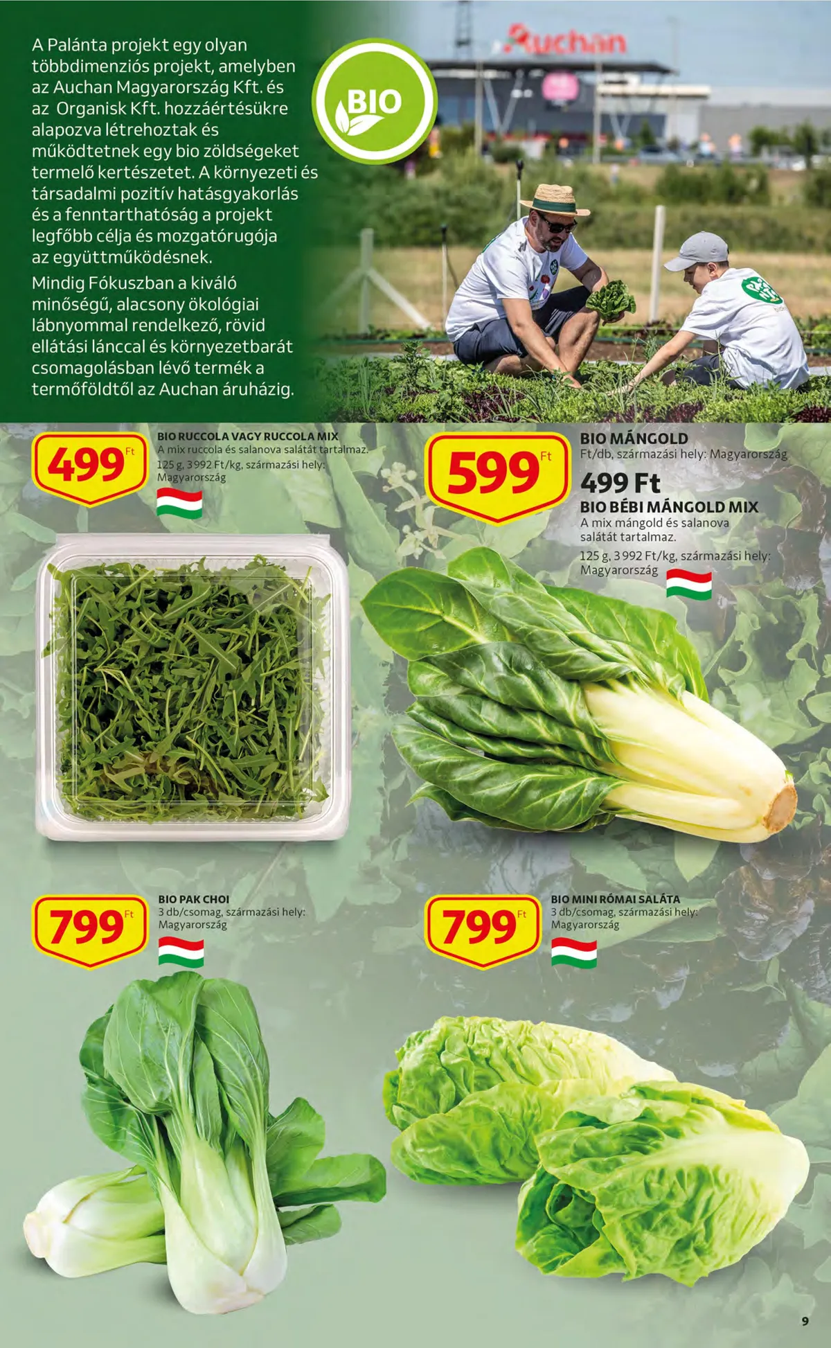 Auchan akciós újság 10.27–11.02 – 9. oldal