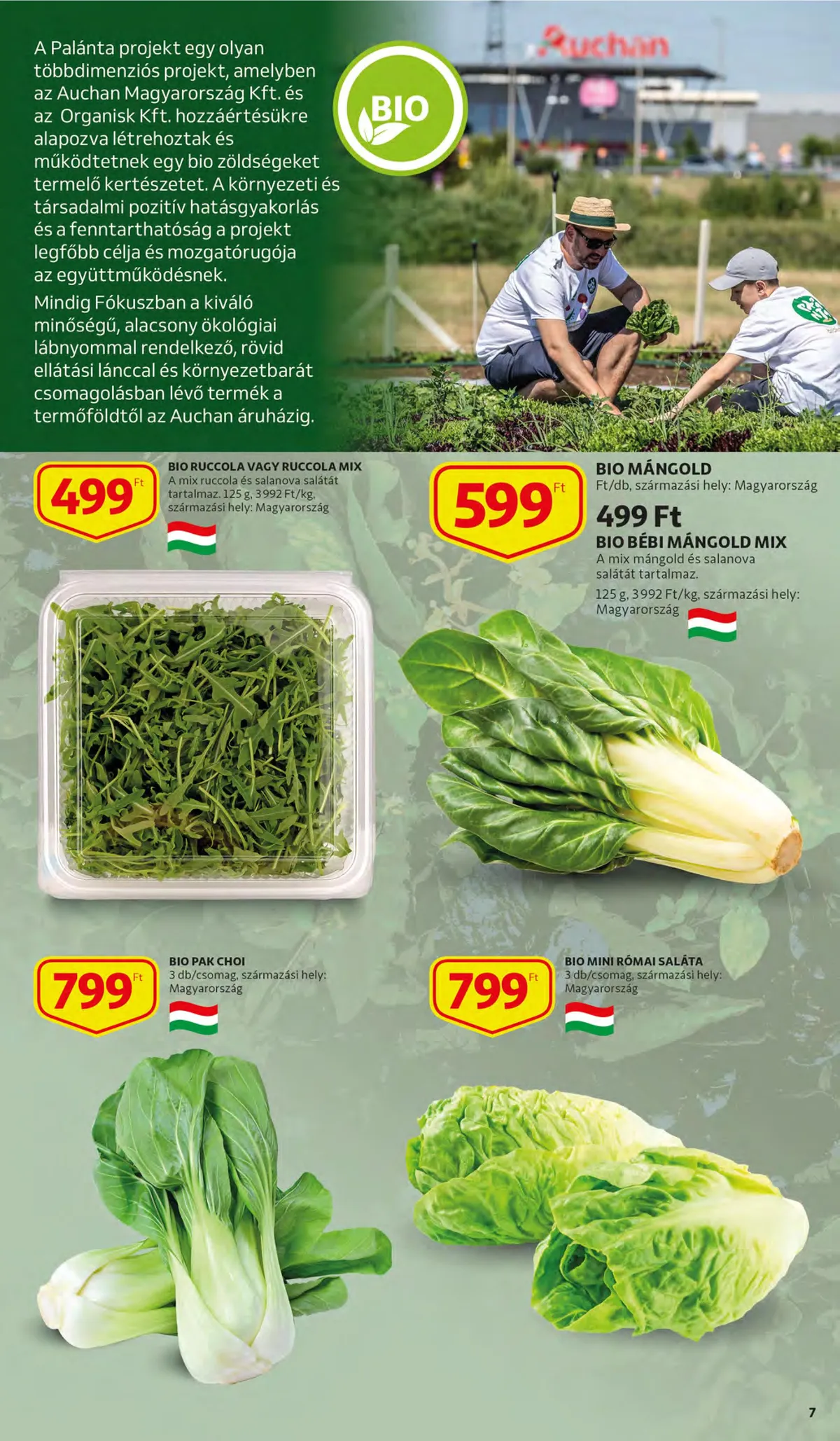 Auchan akciós újság 11.10–11.16 – 7. oldal