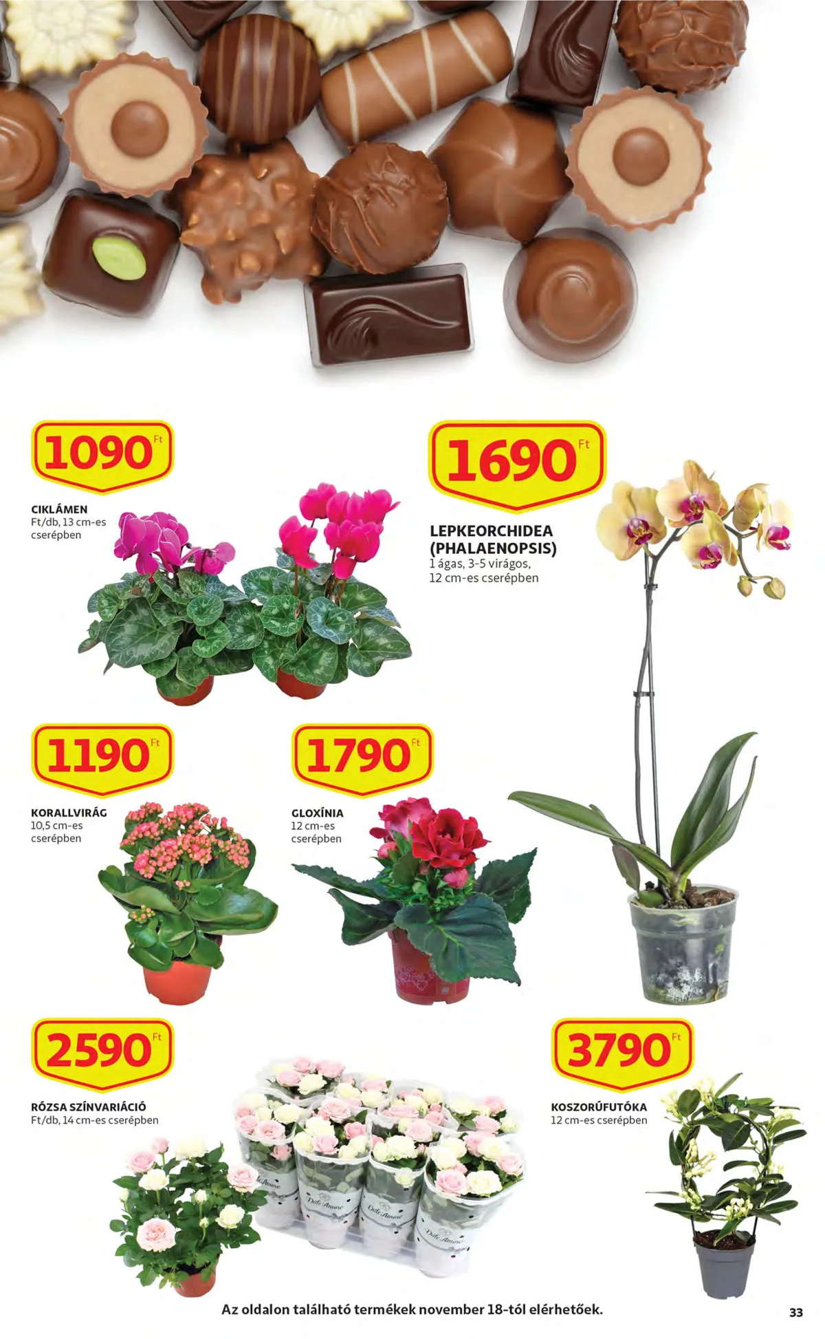 Auchan akciós újság 11.17–11.23 – 33. oldal