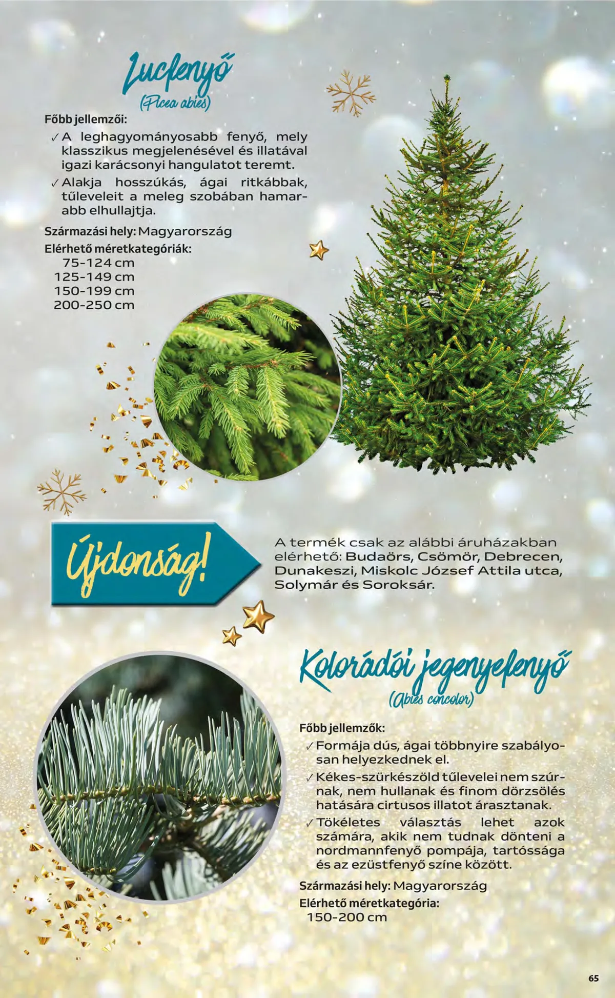 Auchan akciós újság 12.01–12.07 – 65. oldal
